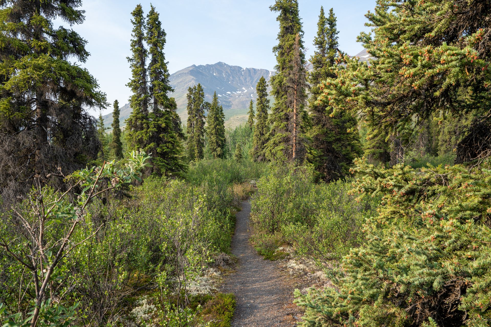 On the lovely trail