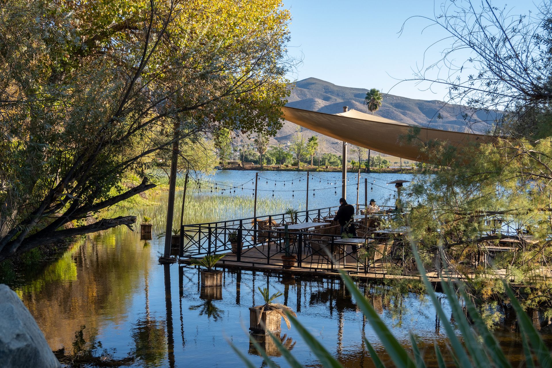 Dining room on the pond