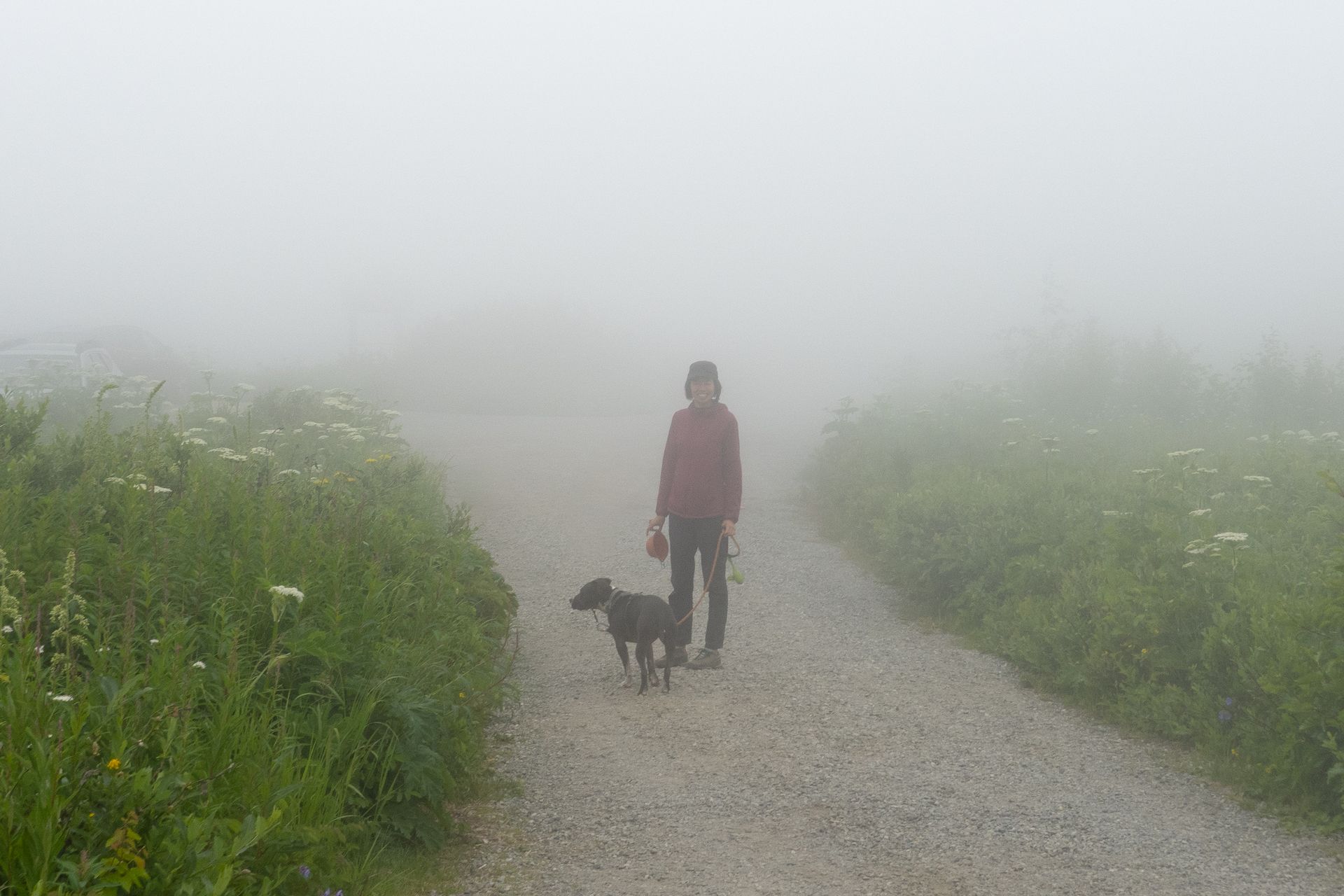 At one point, the fog was so thick we could barely see where we were going.
