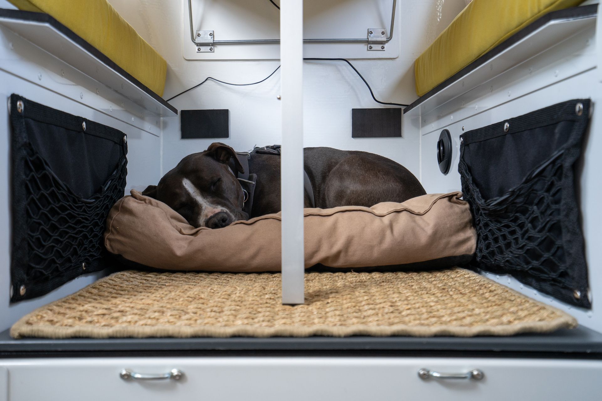 Even Margo, our dog, has a dedicated space just under the table!