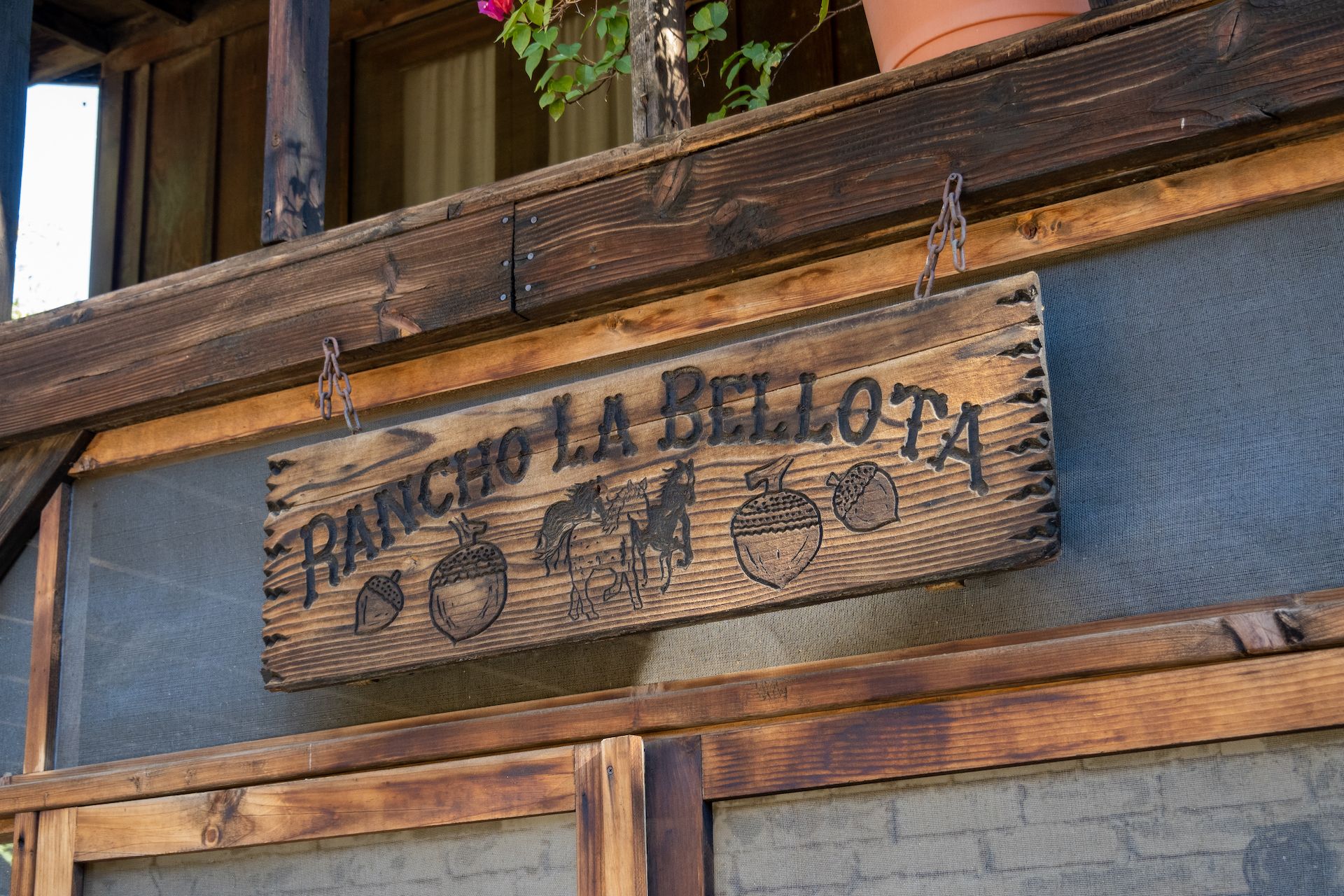 La Bellota means “acorn”