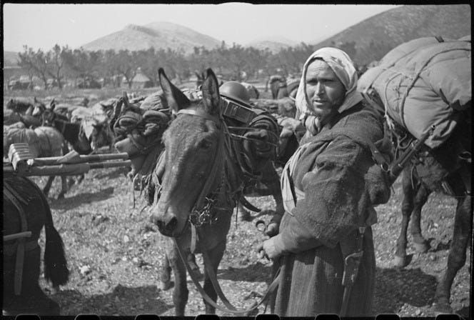 French Moroccan soldiers guide a mule train up into the mountains of Italy. Photo taken by George Kaye. Image courtesy of NZ National Library.