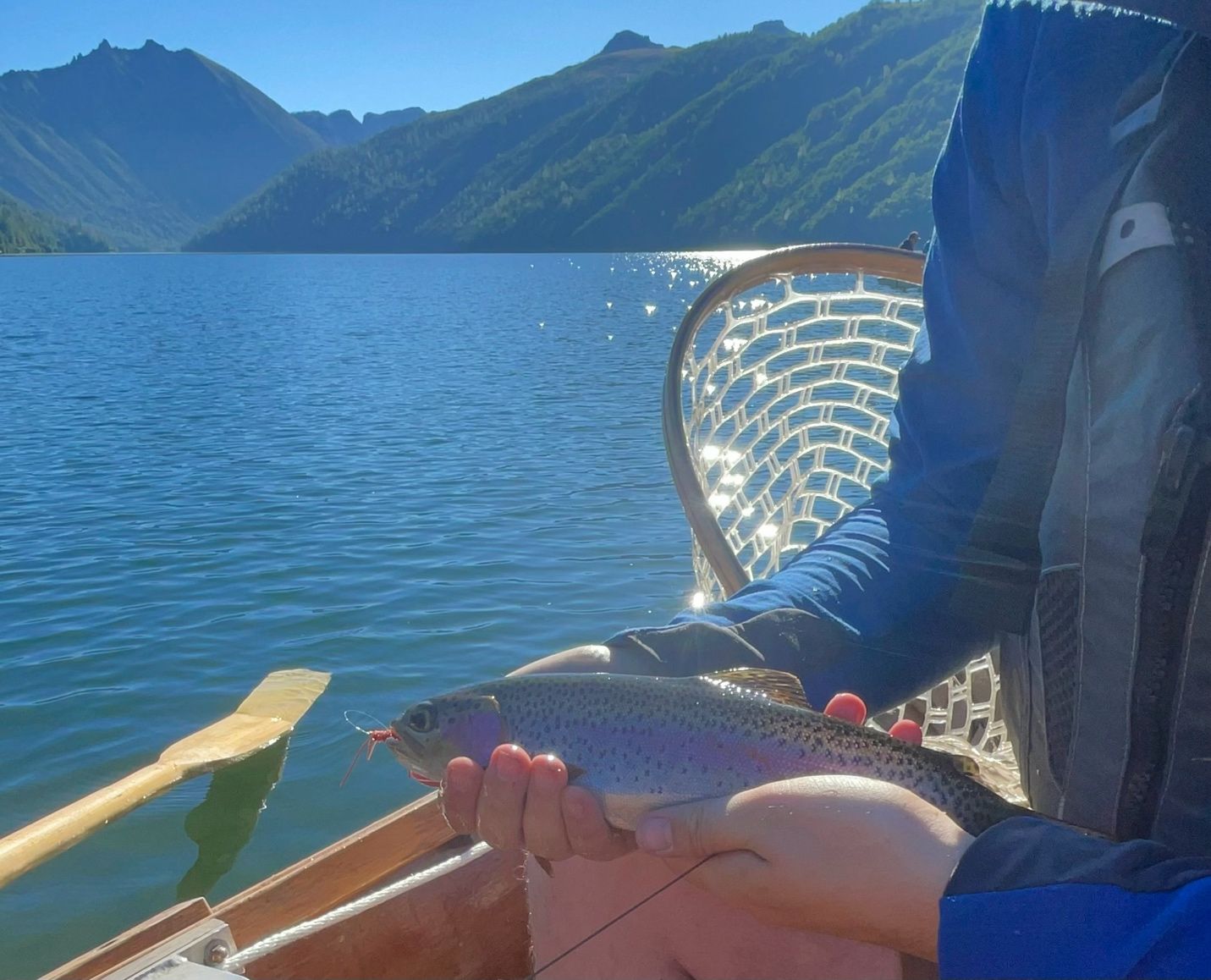 Saw an orangish-looking dragonfly fly past my brother-in-law’s head before we put in this morning. Decided to throw the only orange fly in my fly box. Within a few minutes I had the only bite of the day. A real rush! Love going up to Coldwater Lake. It was formed by the Mt. St. Helens eruption in 1980, and ranks among my favorite places in the Pacific Northwest.