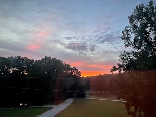 Sunrise from Sunporch: Blue skies with purple clouds above a pink and orange sunrise over a treeline.