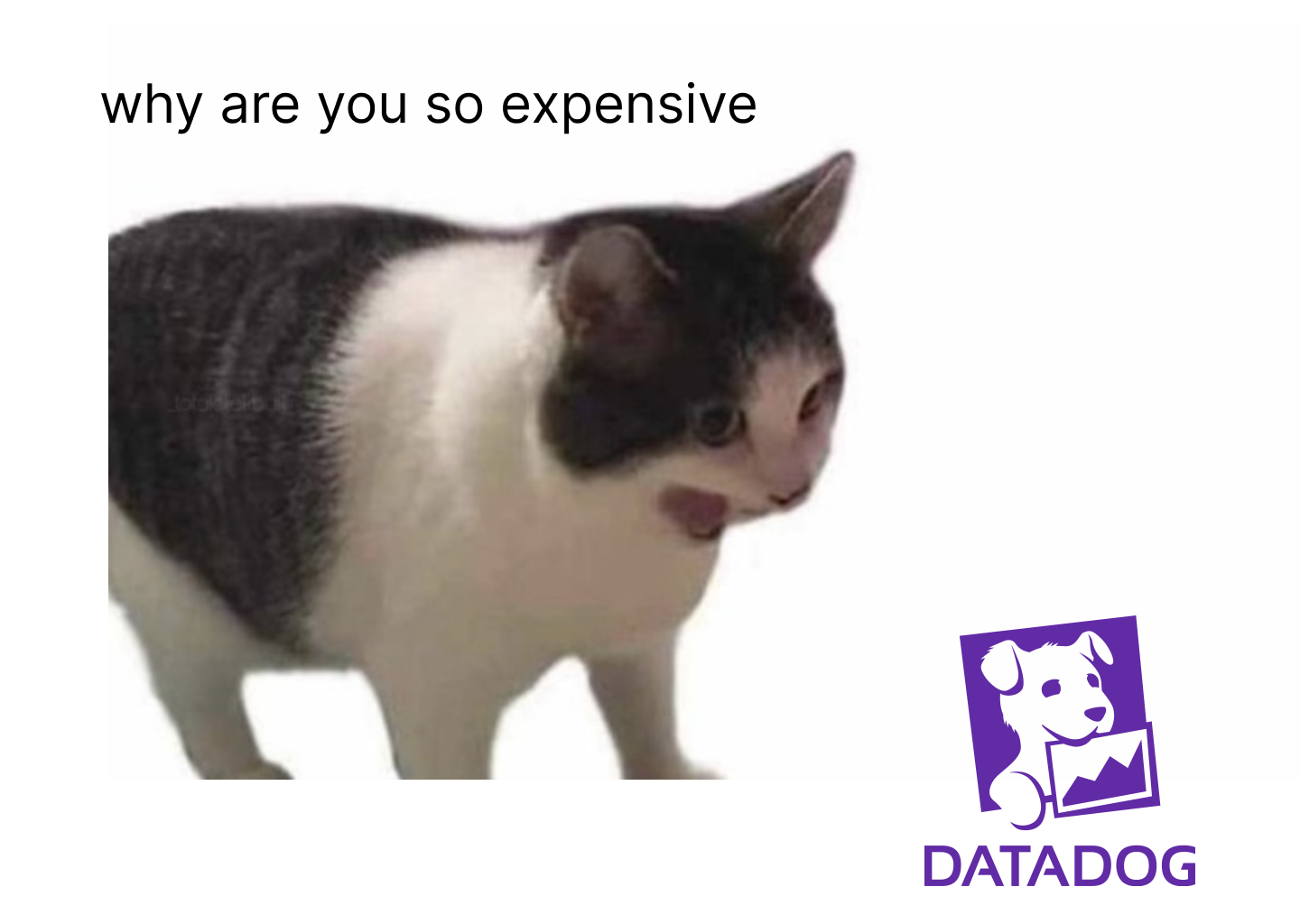 Datadog