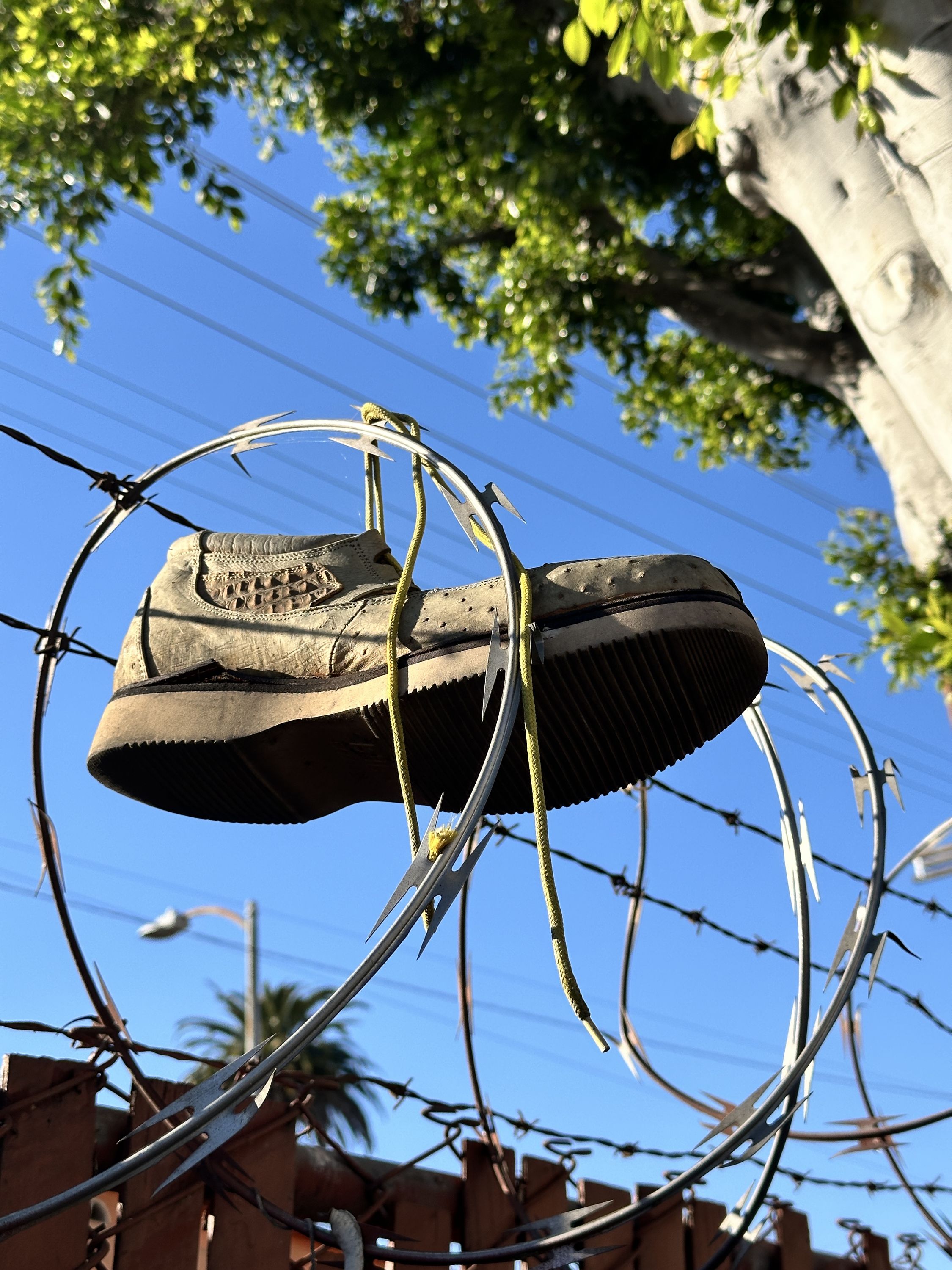 shoe