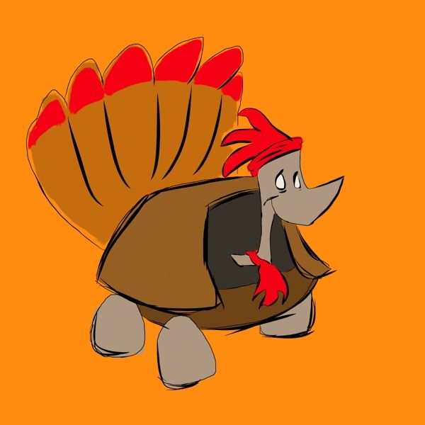 Turtle as a Turkey!