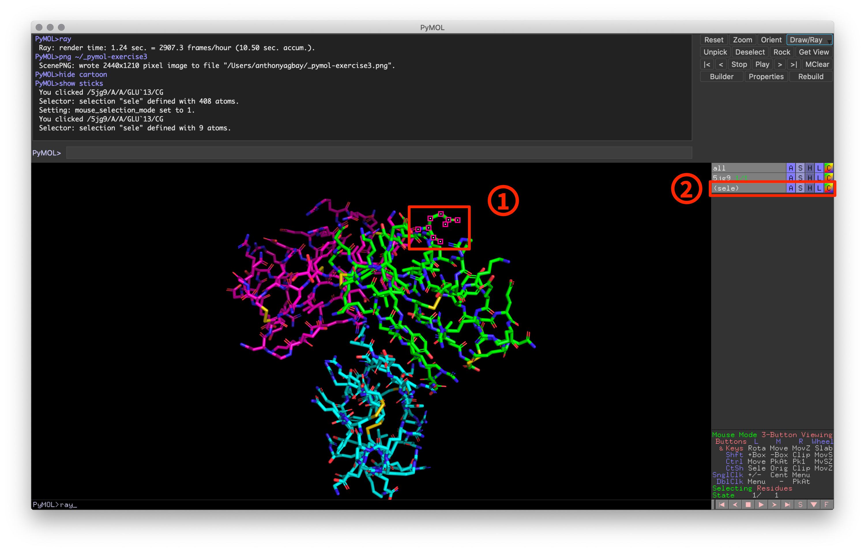 Fig 3: Example of PyMOL window after selecting a residue