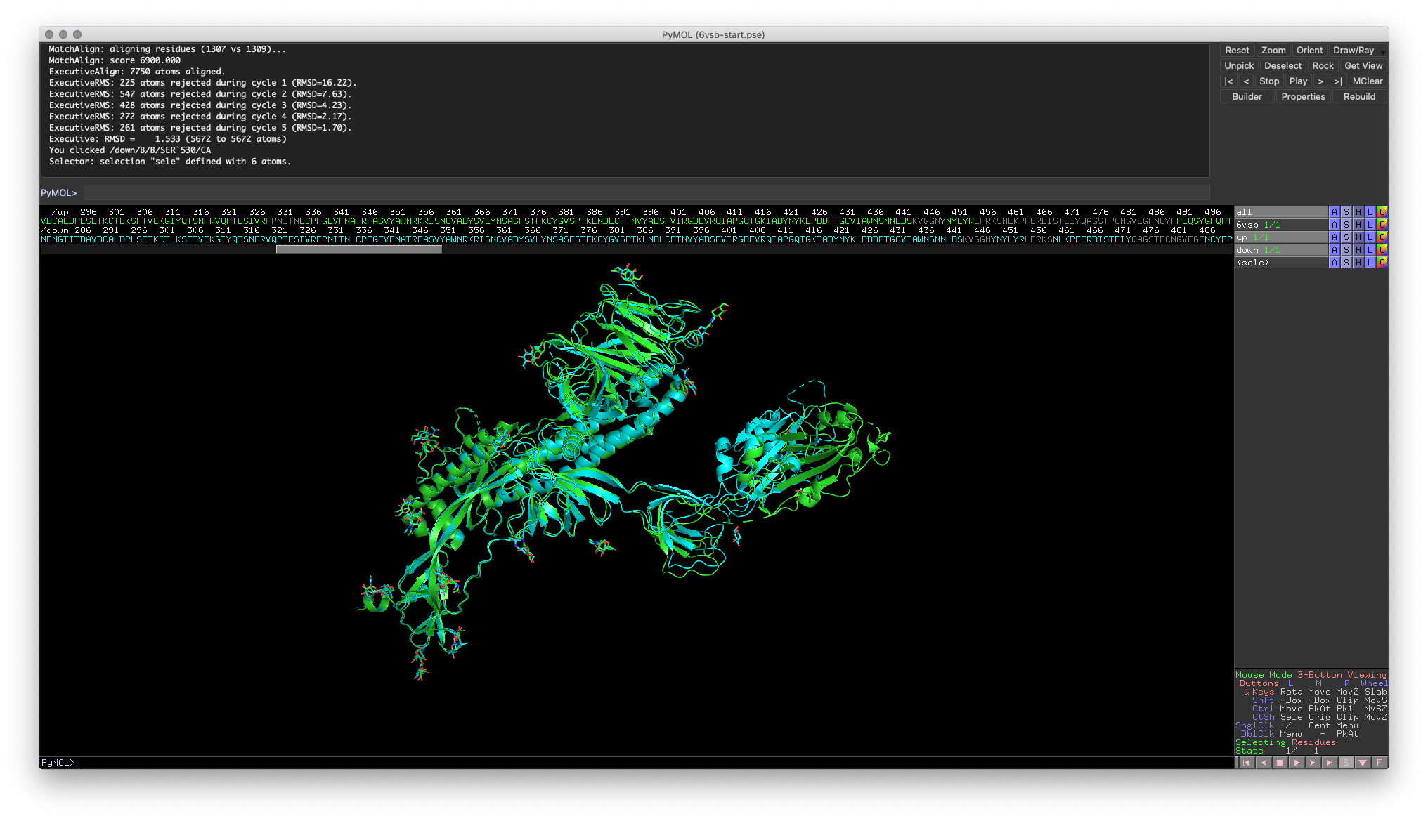 Hands-on Exercise 3: PyMOL window illustrating RBDs that are correctly aligned.