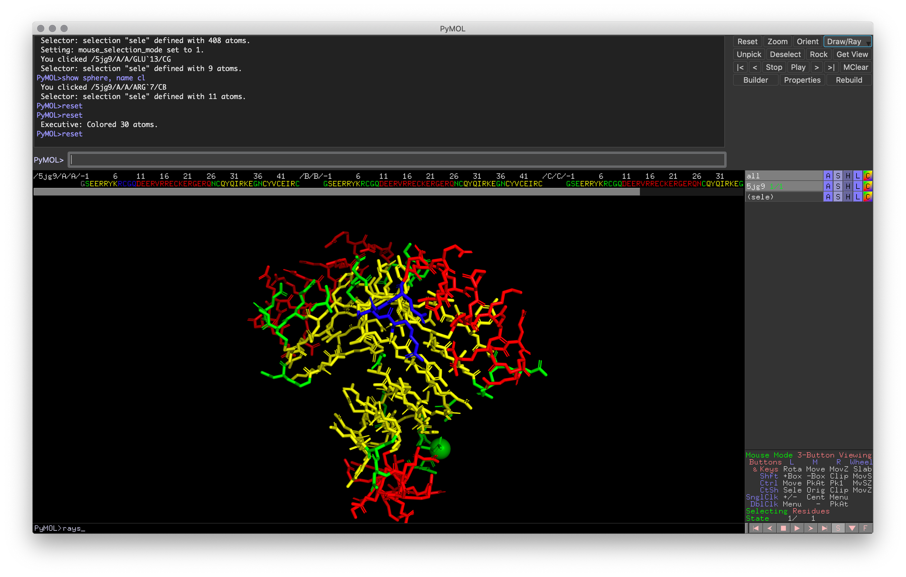 Exercise 4: PyMOL window with the correct loop colored blue