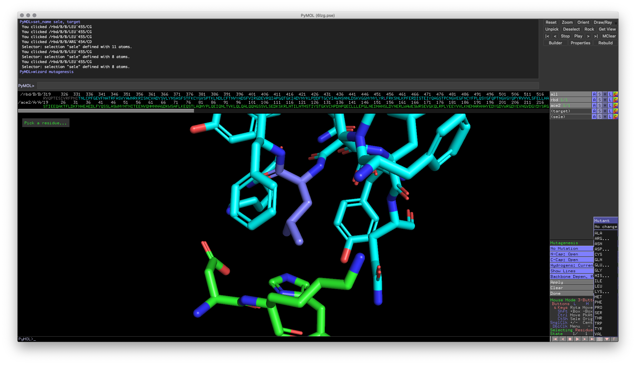 Fig 5: One view of the proper visualization around Leu455