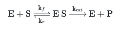 Michaelis-Menten Reaction Model