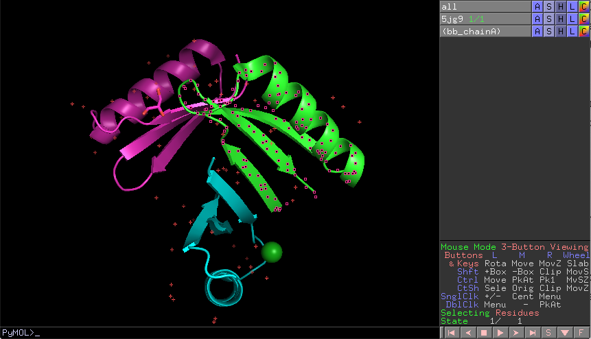 Exercise 5: PyMOL window with the correct selection