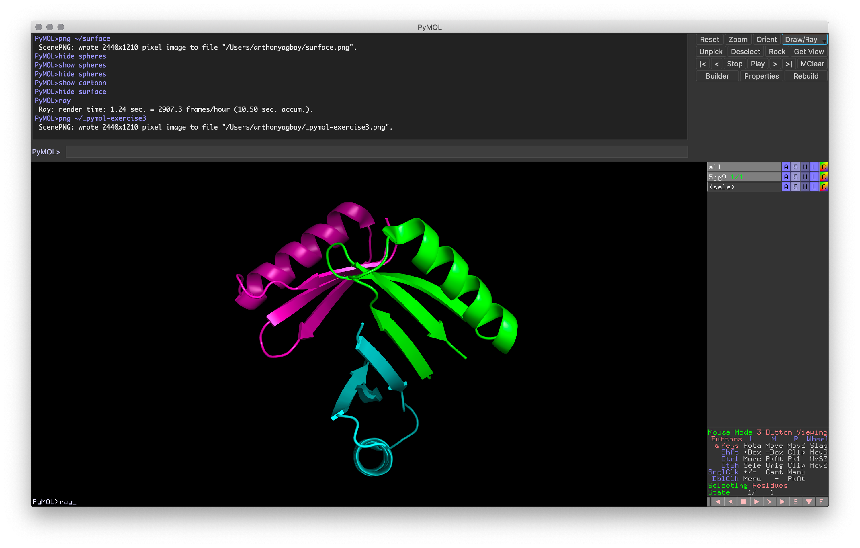 Exercise 3: PyMOL window with target representation and color