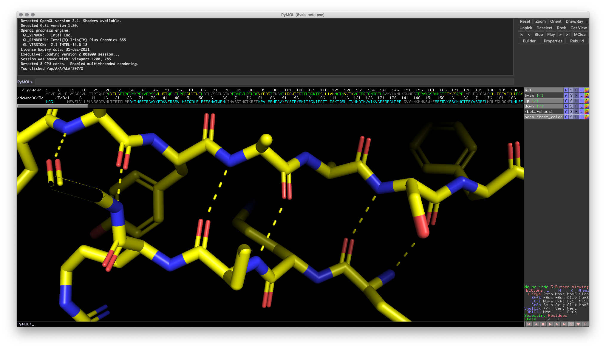Hands-on Exercise 1: PyMOL window illustrating polar contacts with the target 𝛽-strands
