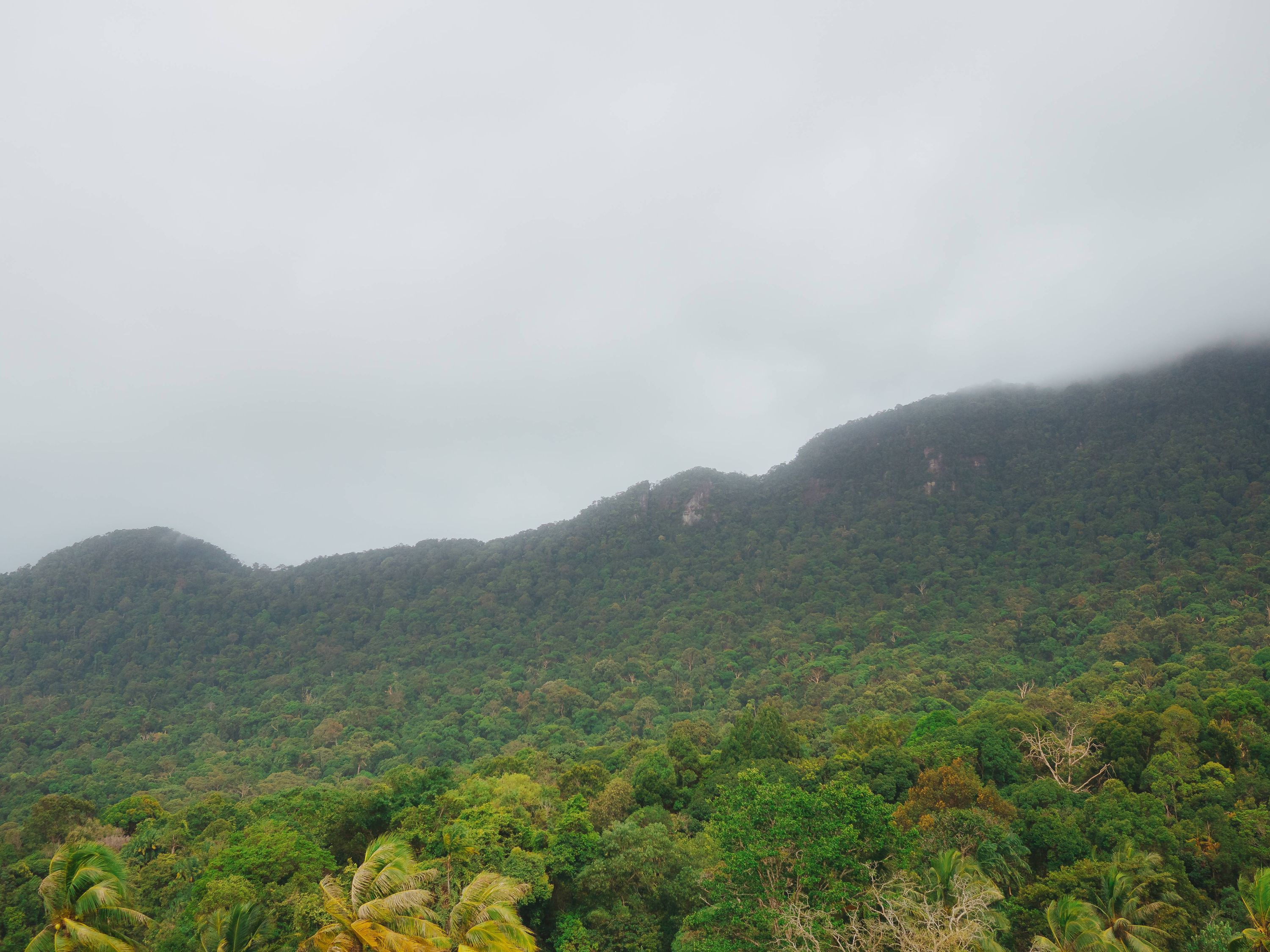 Mount Santubong