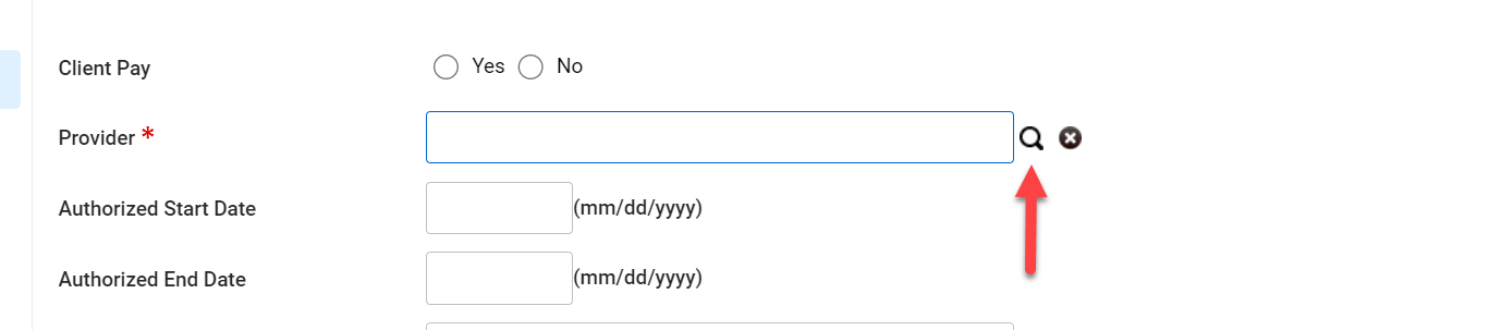 Provider field with magnifying glass