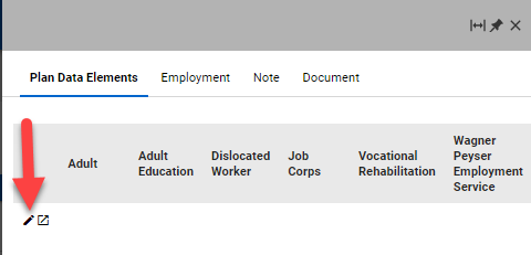 Quick Menu > Plan Data Elements Tab Pencil Icon