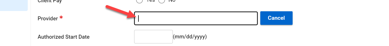  Provider field once magnifying glass has been clicked on 