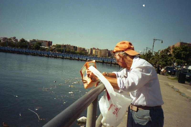 feeding sheepshead bay ny 2019