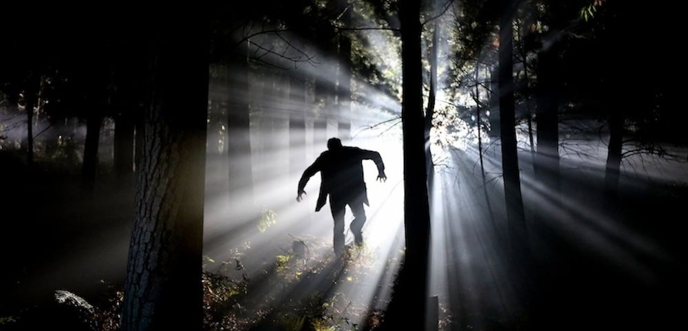 Dark figure in a forest