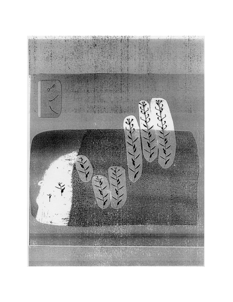 Scores for Weaving Excerpt