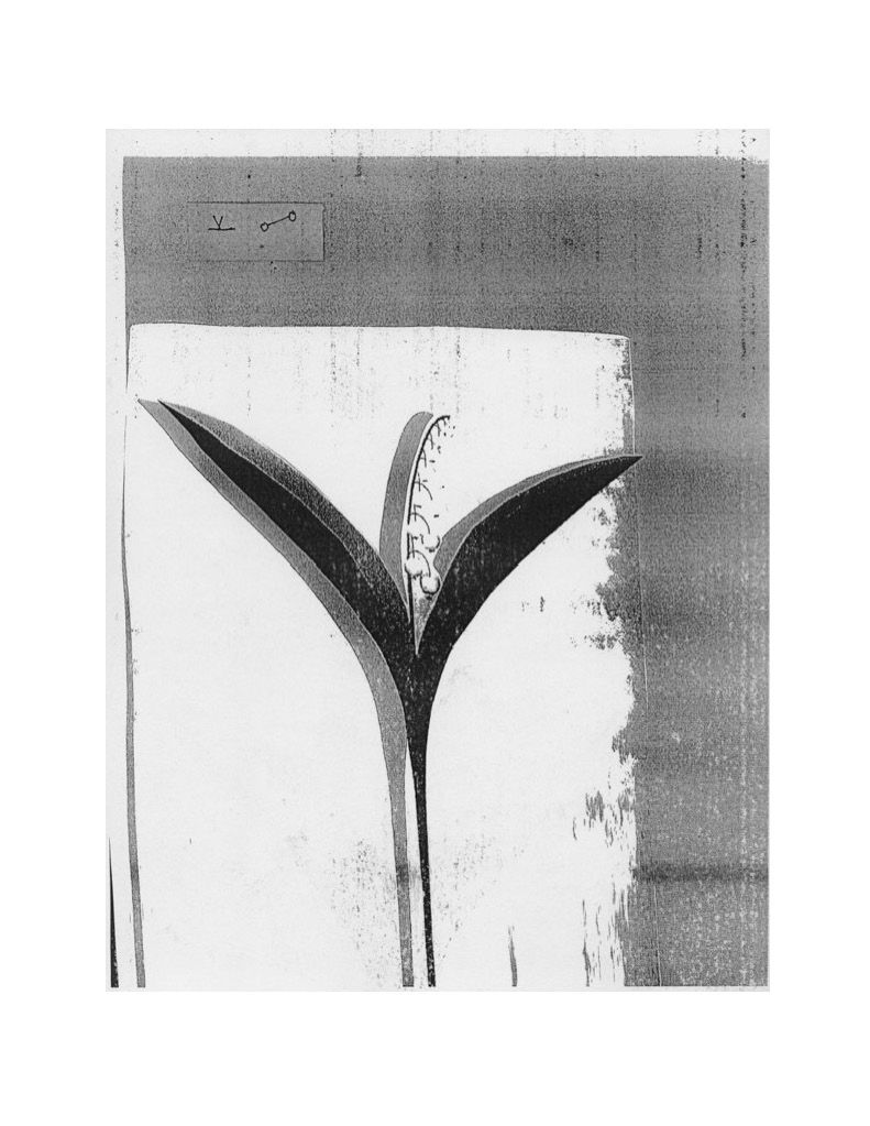 Graphic scores and handmade instruments by Grace Papineau-Couture.