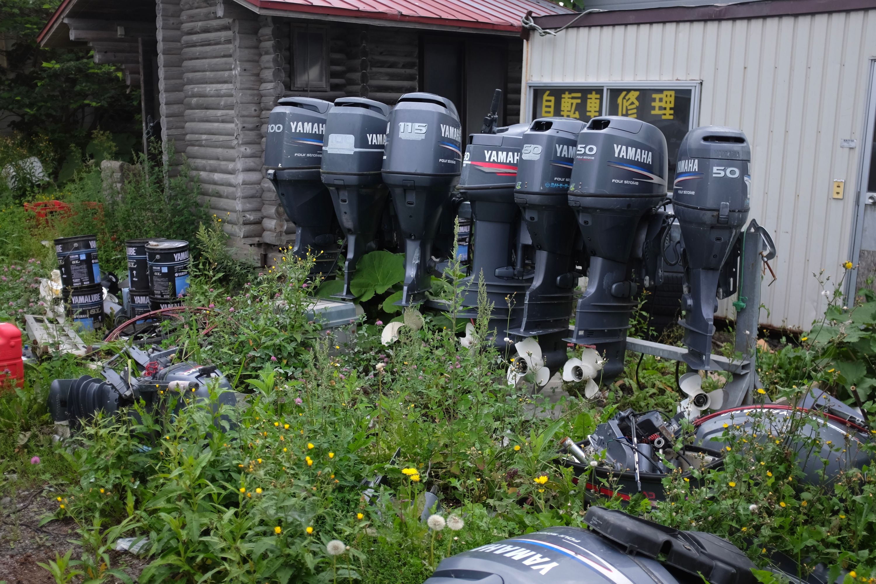 A row of Yamaha outboard engines in an overgrown yard.