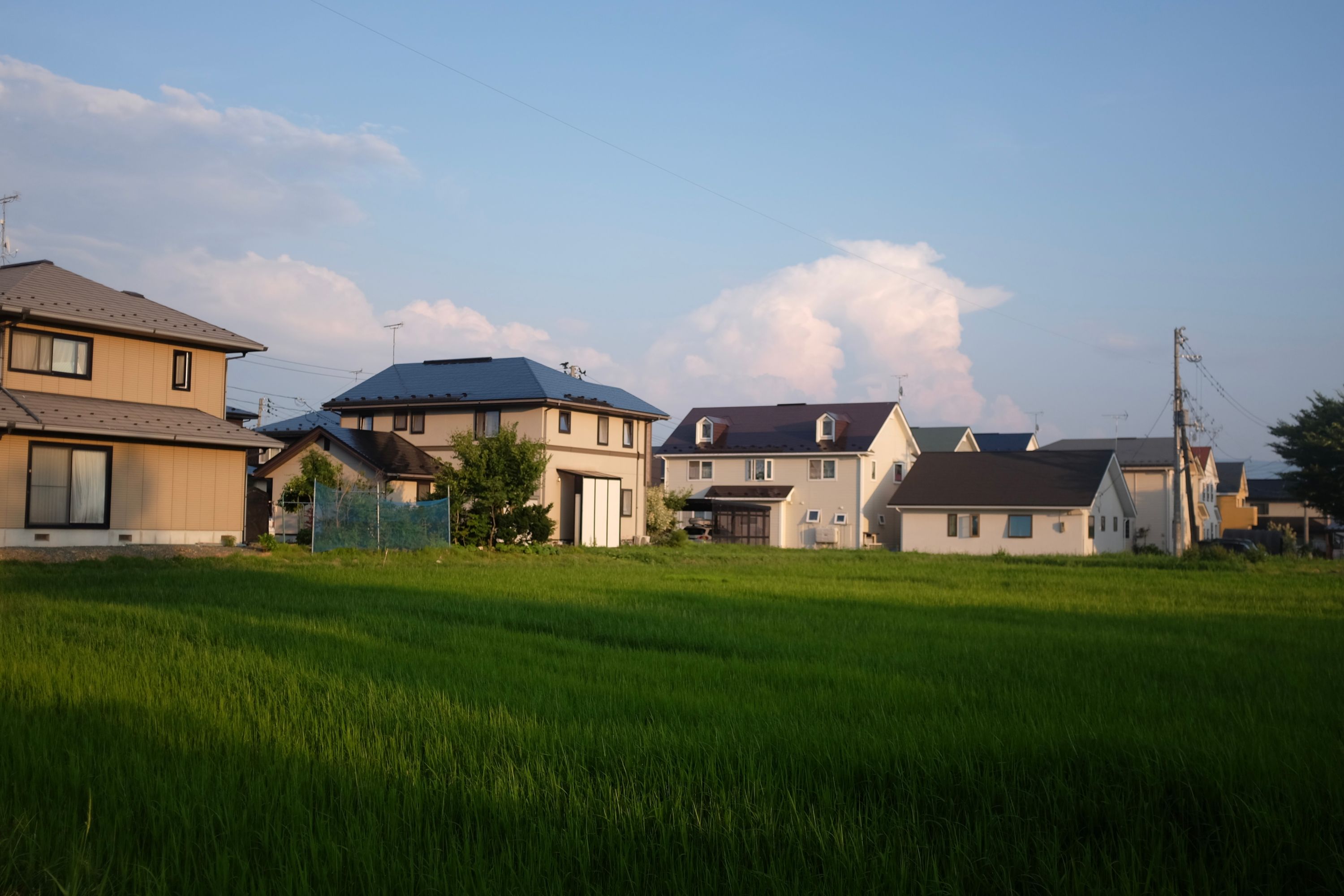 Modern villages houses at the edge of a green rice field.