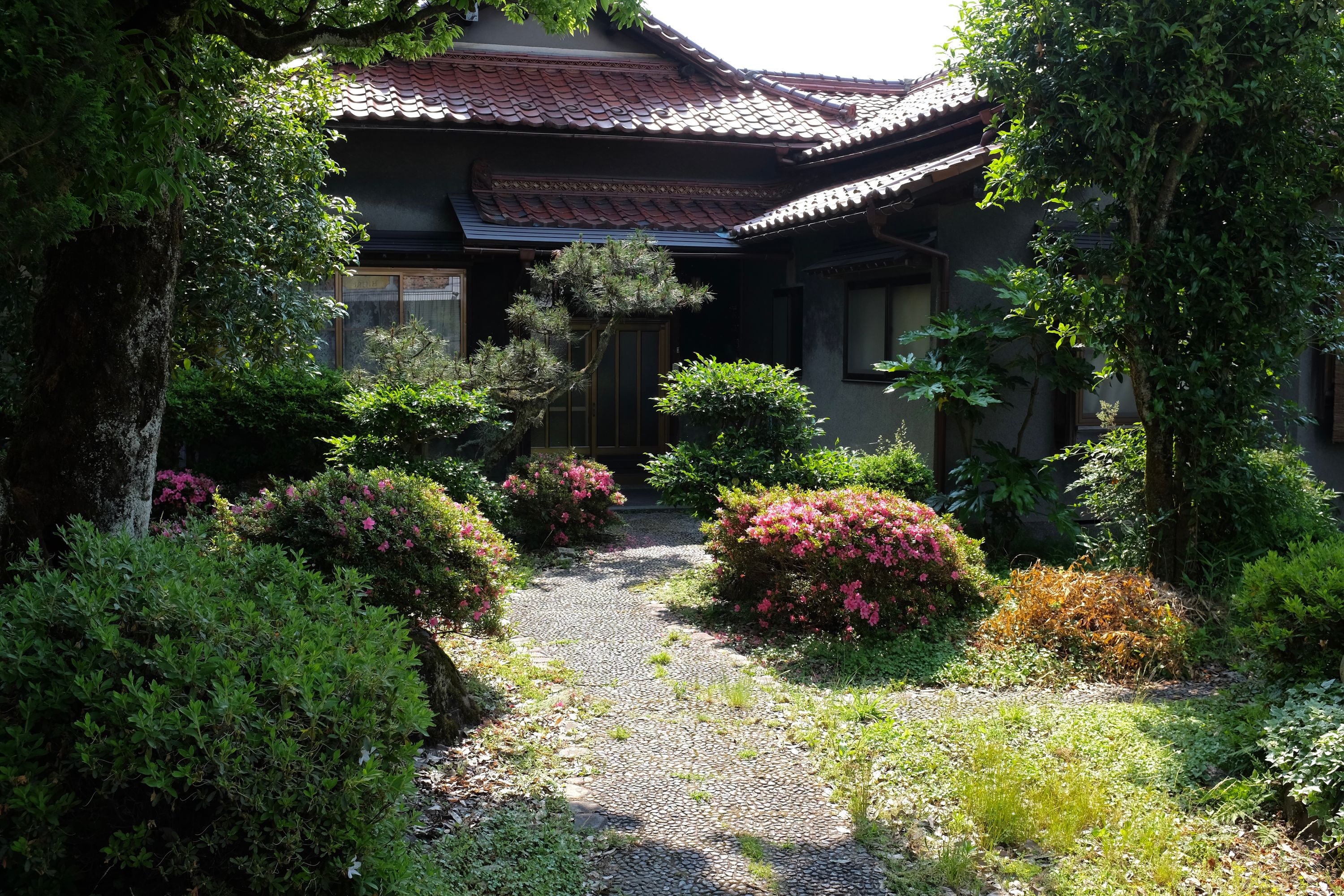 A traditional Japanese house with a garden of blooming azalea bushes.