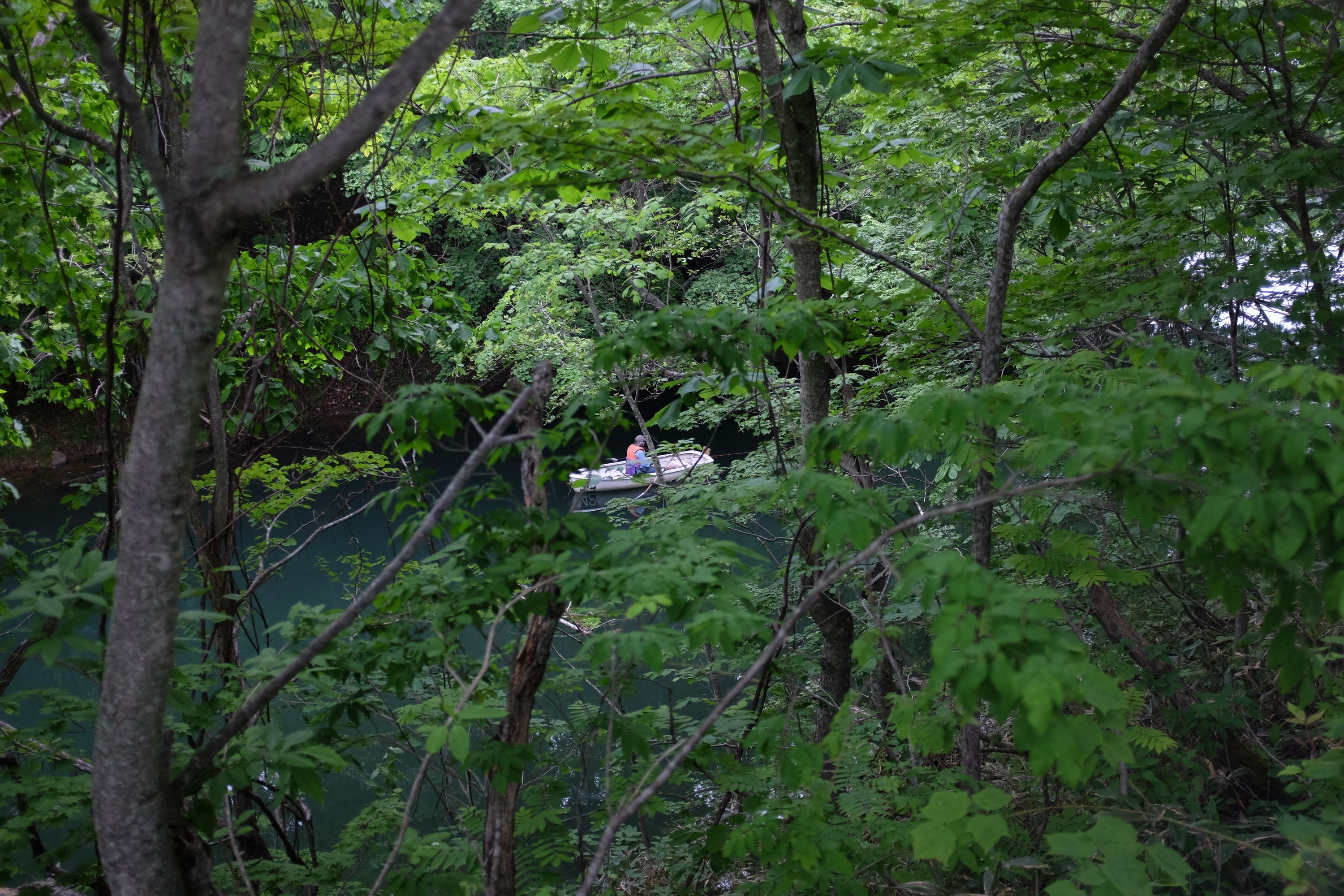 A man sits in a fishing boat as seen through a thick forest.