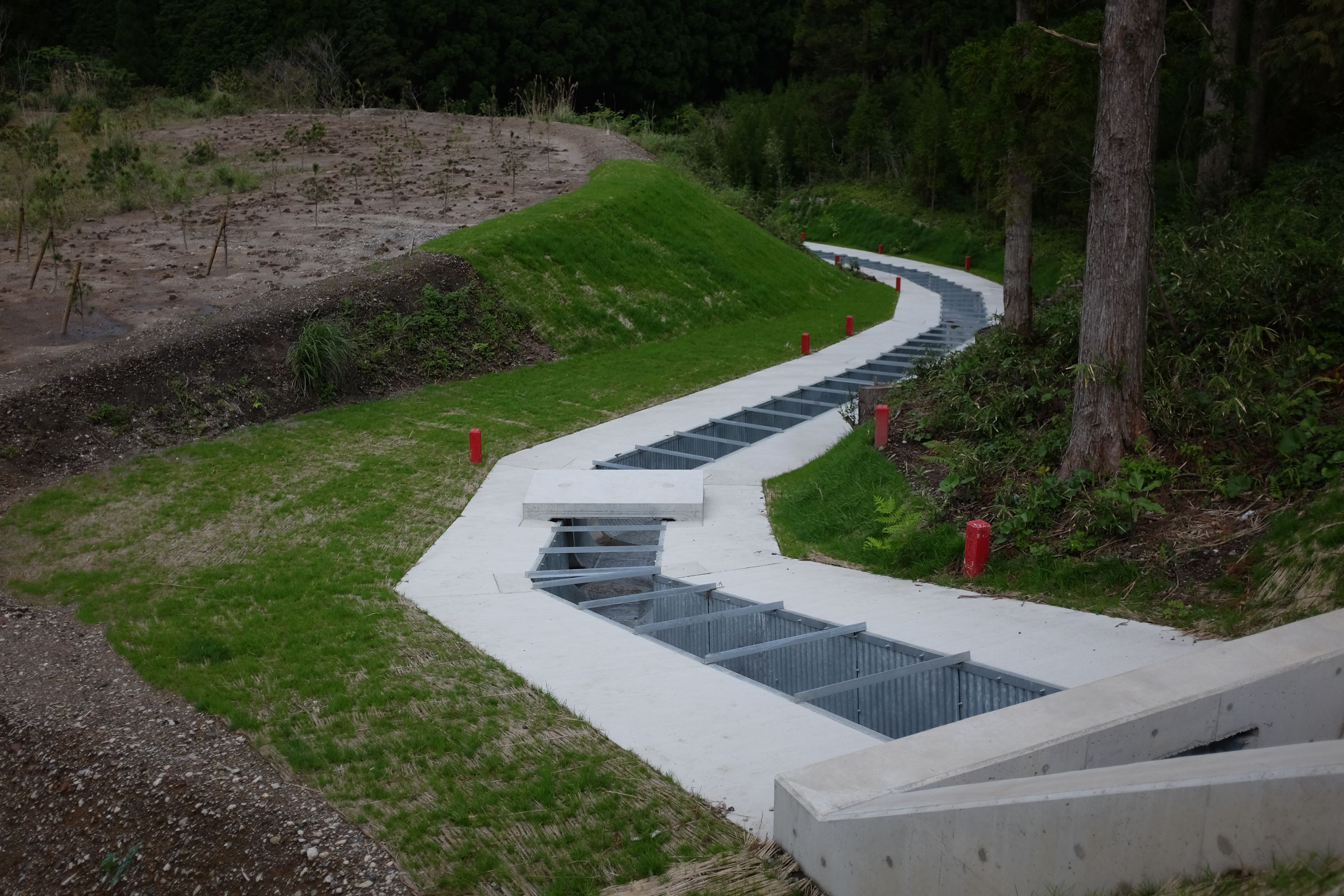 A new rain ditch trails off into a forest.