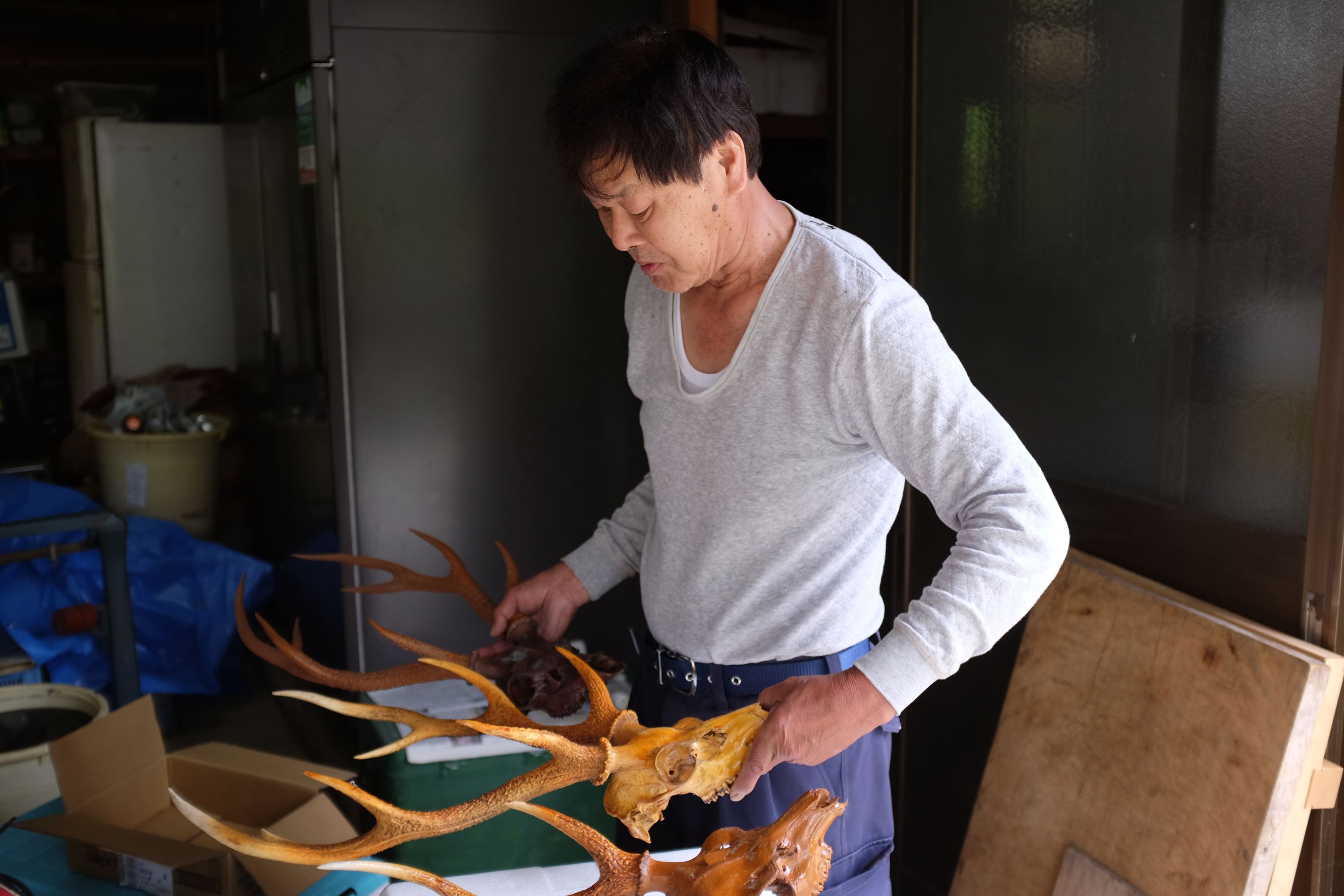 A Japanese man, dressed in a long-sleeved white t-shirt, hold a pair of deer antlers in his hands.