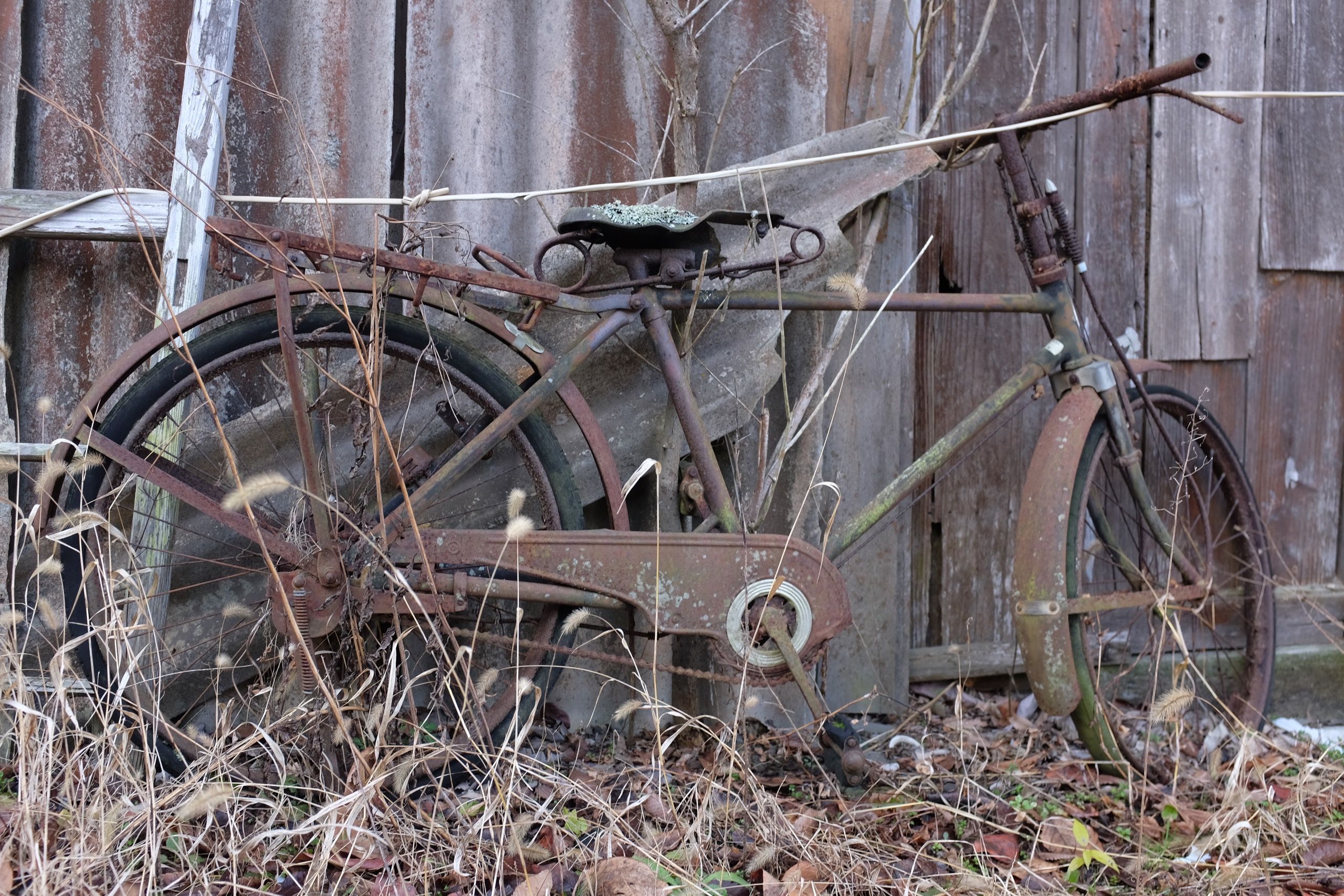 The whole bike, very rusty, leaning against a shed.