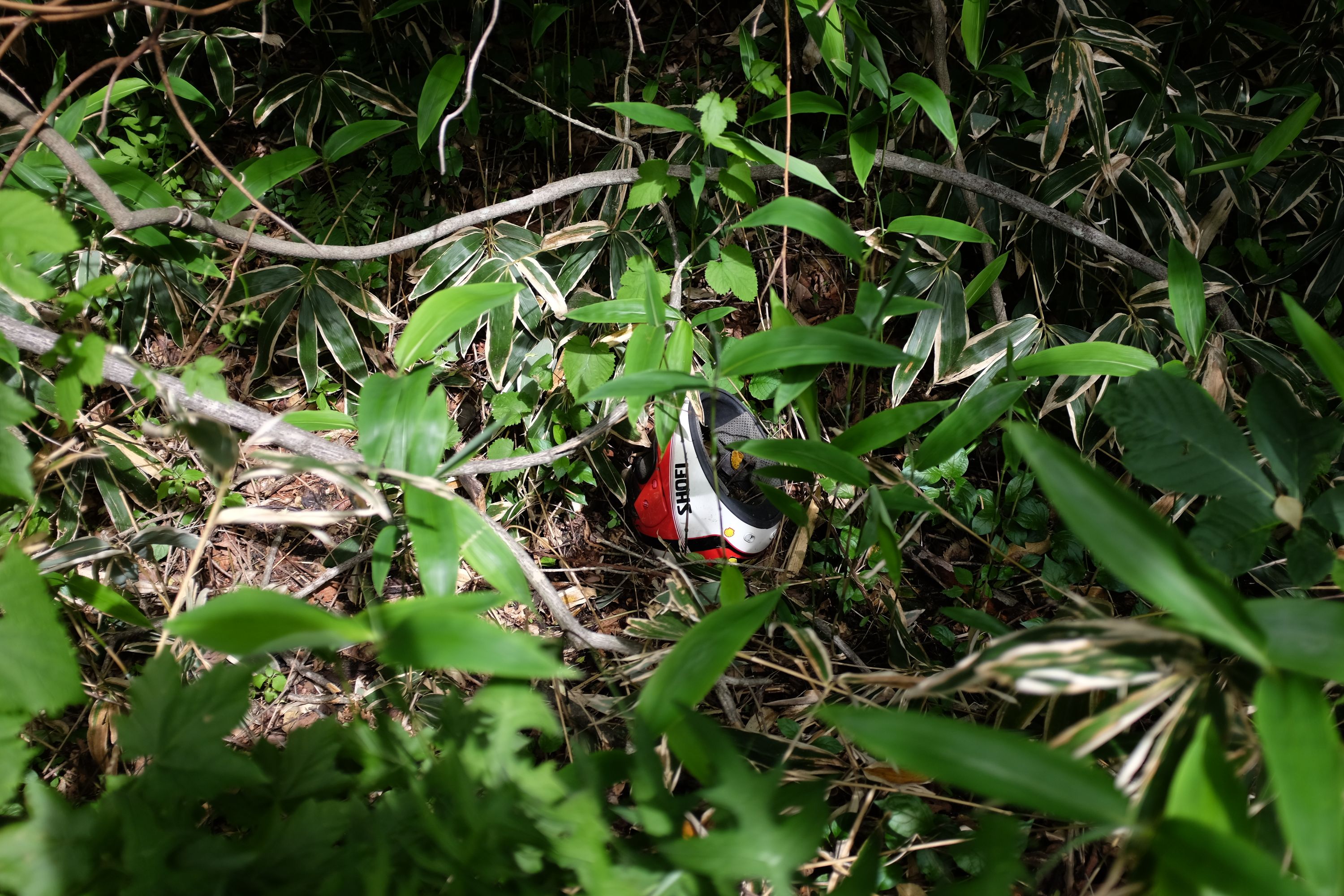A motorcycle helmet in the undergrowth.