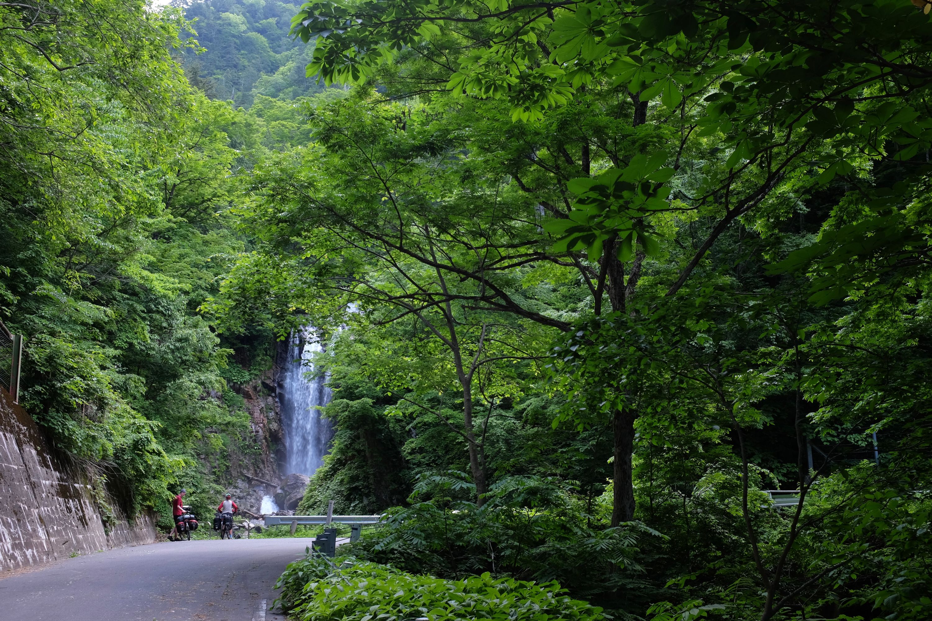 A pair of cyclists look at a waterfall in a dense mountain forest.