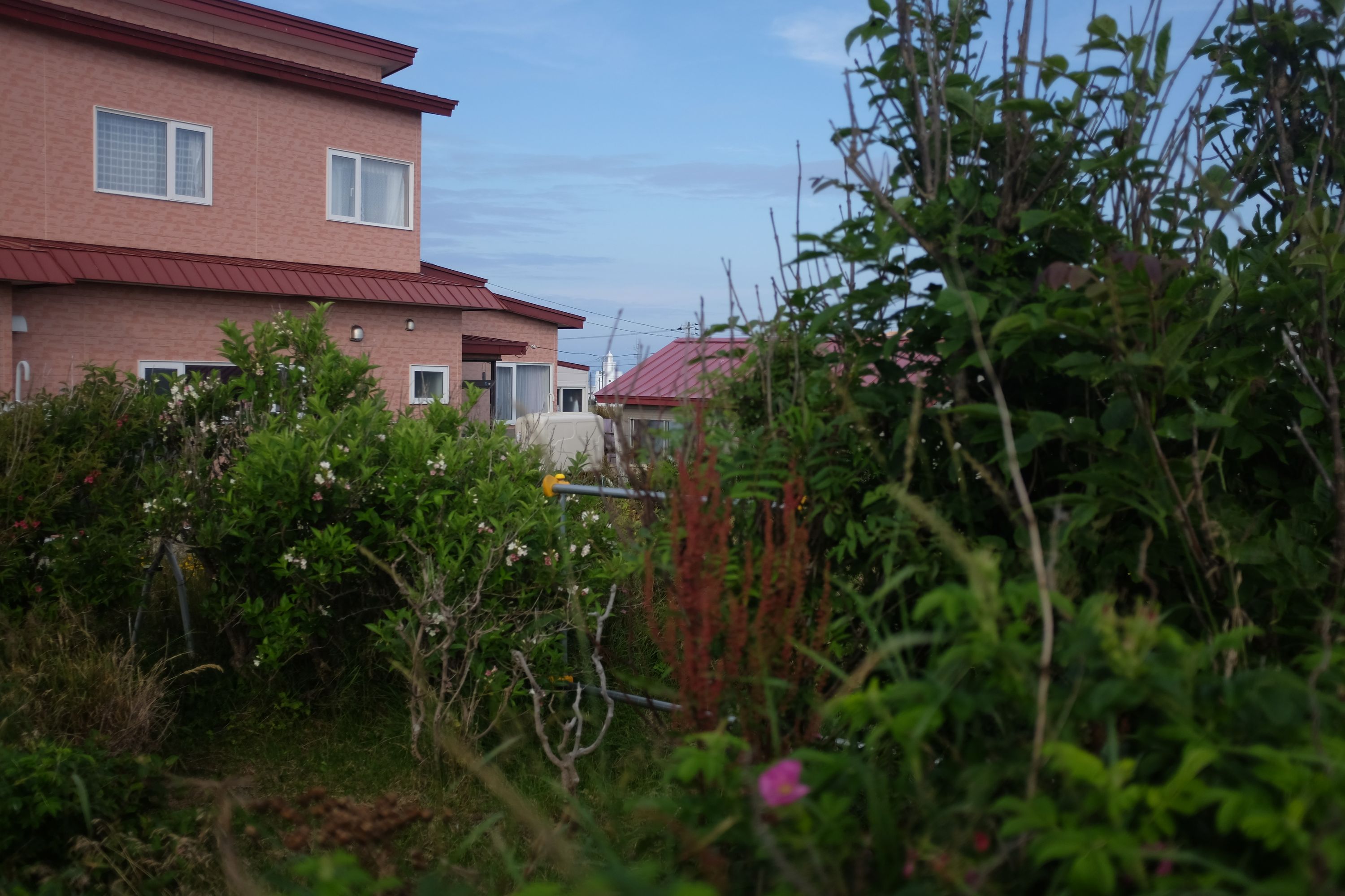 A large new pink house with a garden full of wildflowers.