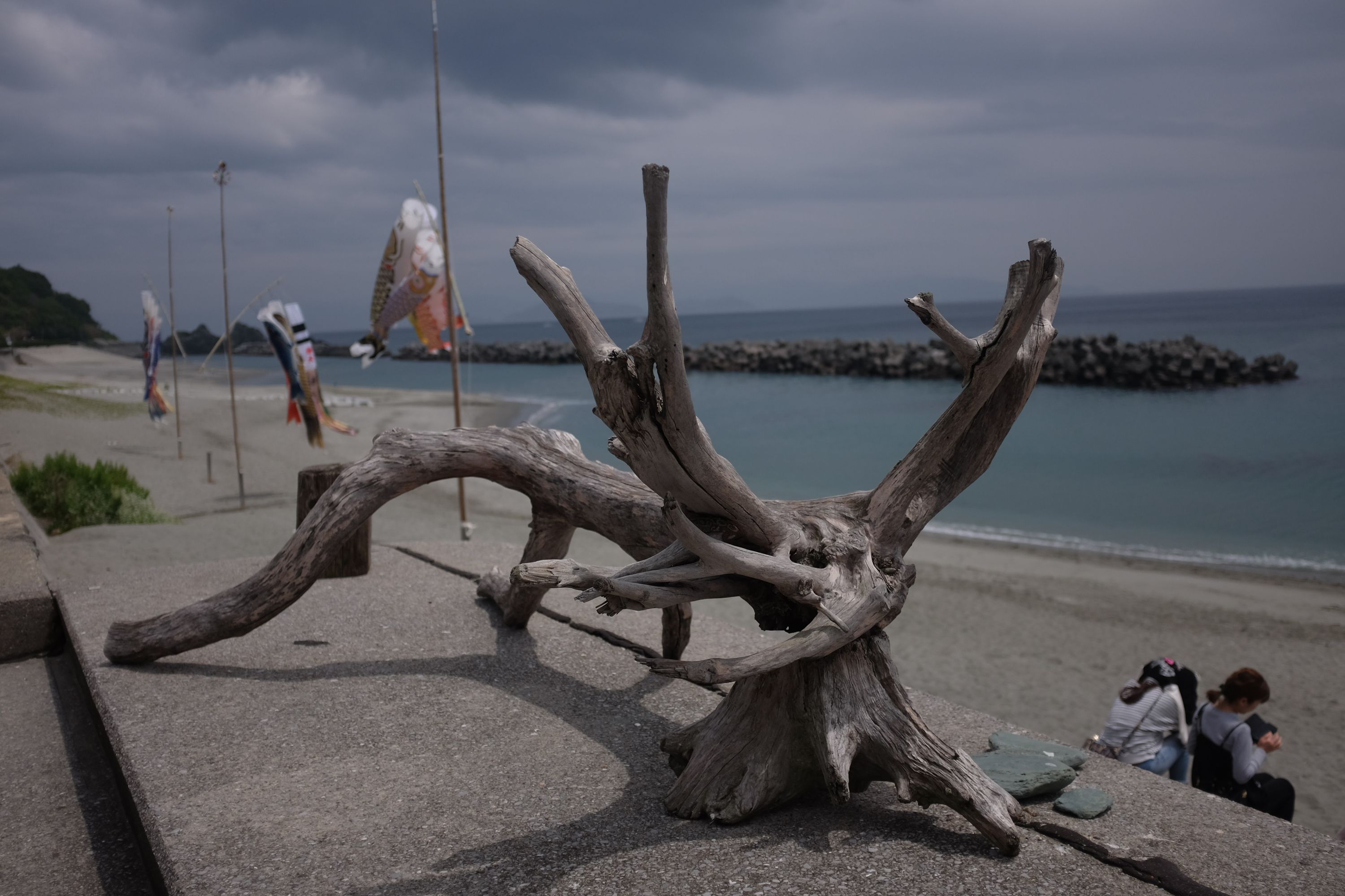 Two people eat lunch on the seashore, sitting by a large piece of driftwood.