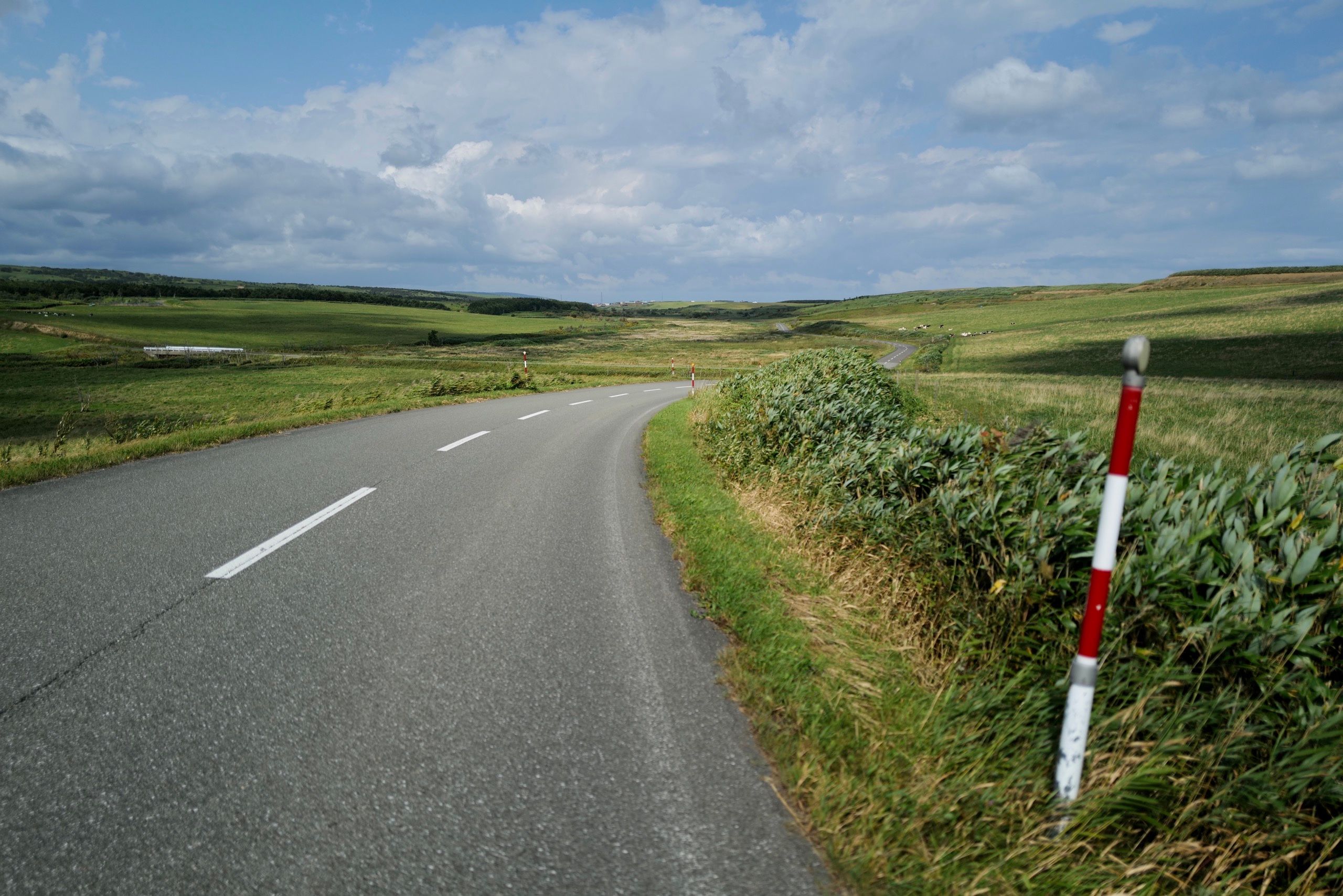 A road leads into rolling hills