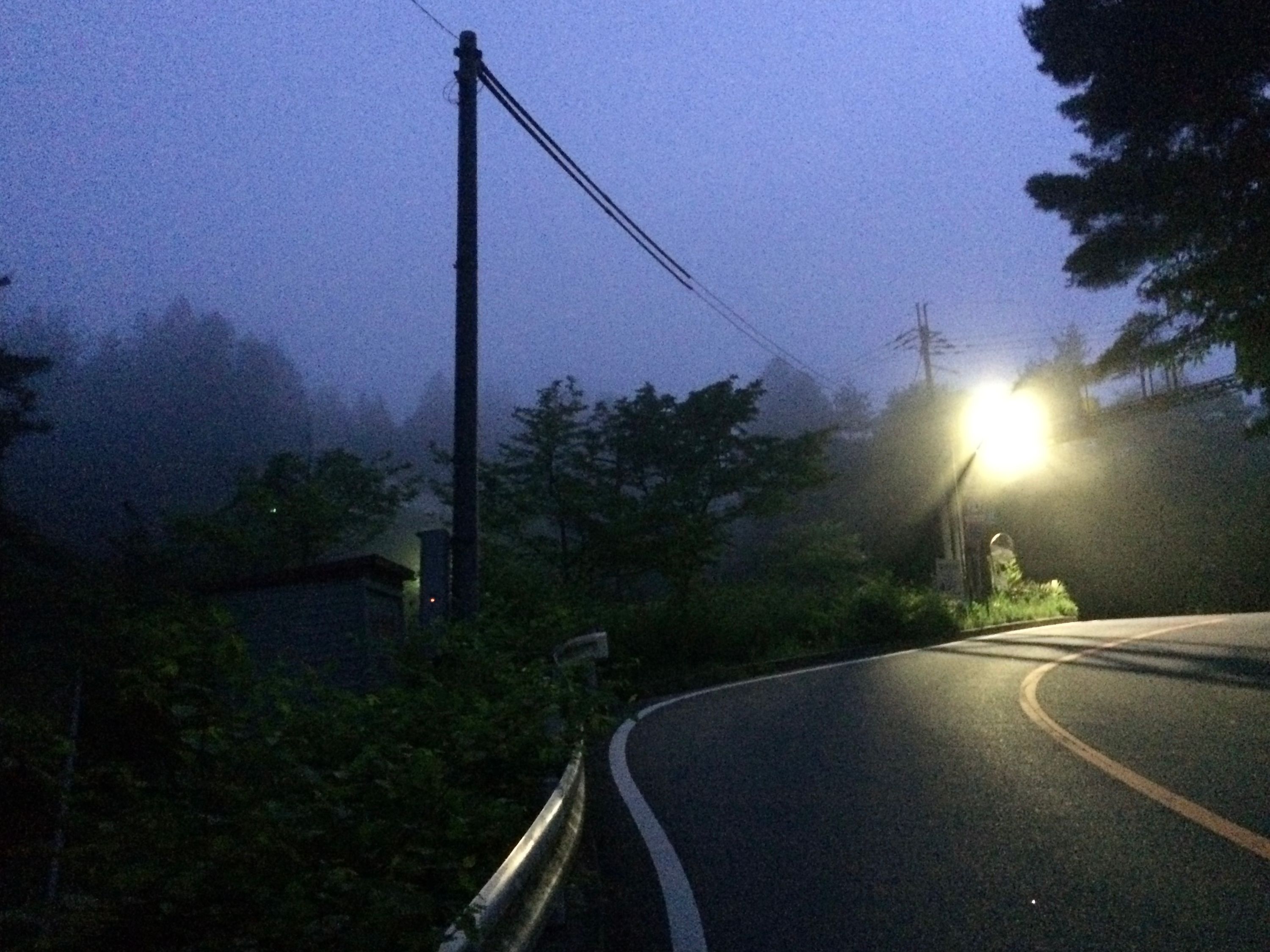 Grainy night picture of a road running by a forest half-covered in fog.