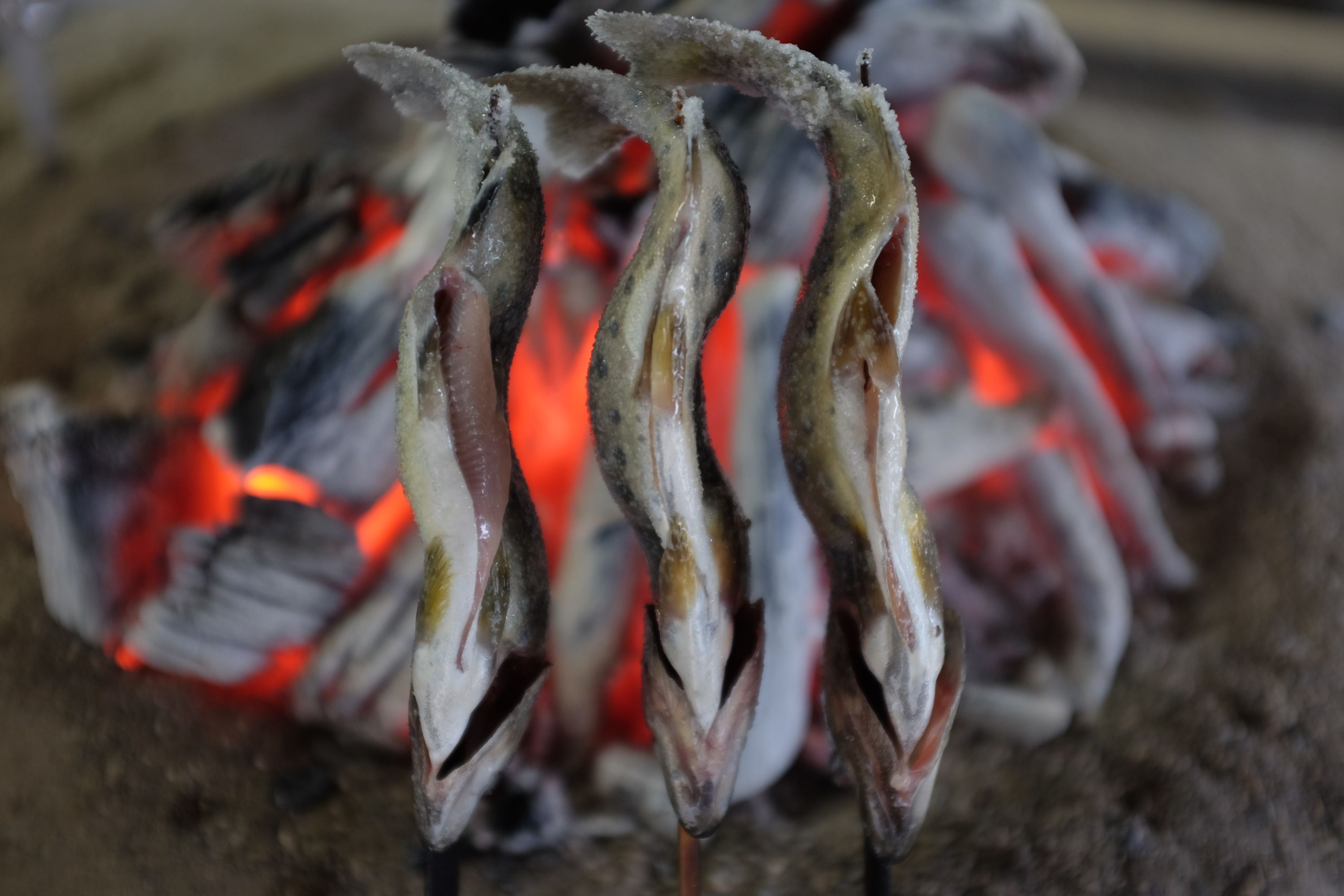 The grilling trouts seen from a different angle.