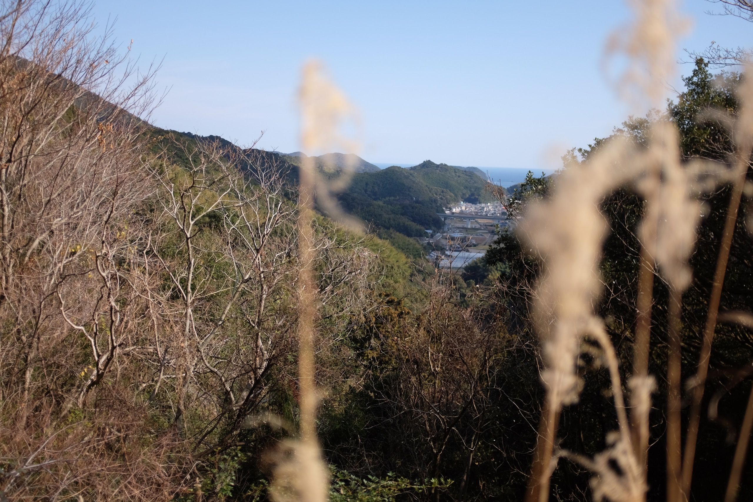 Distant view of a harbor village from high up a hillside.