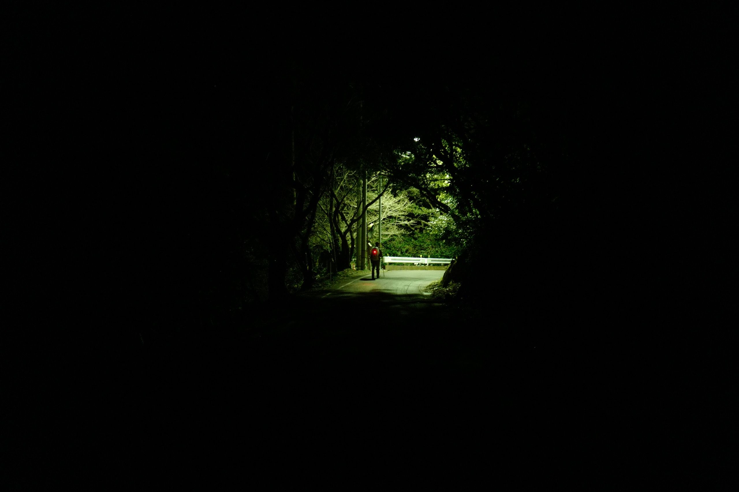 In the middle distance, a man, Peter Orosz, walks down a road in darkness, illuminated by a single streetlight.