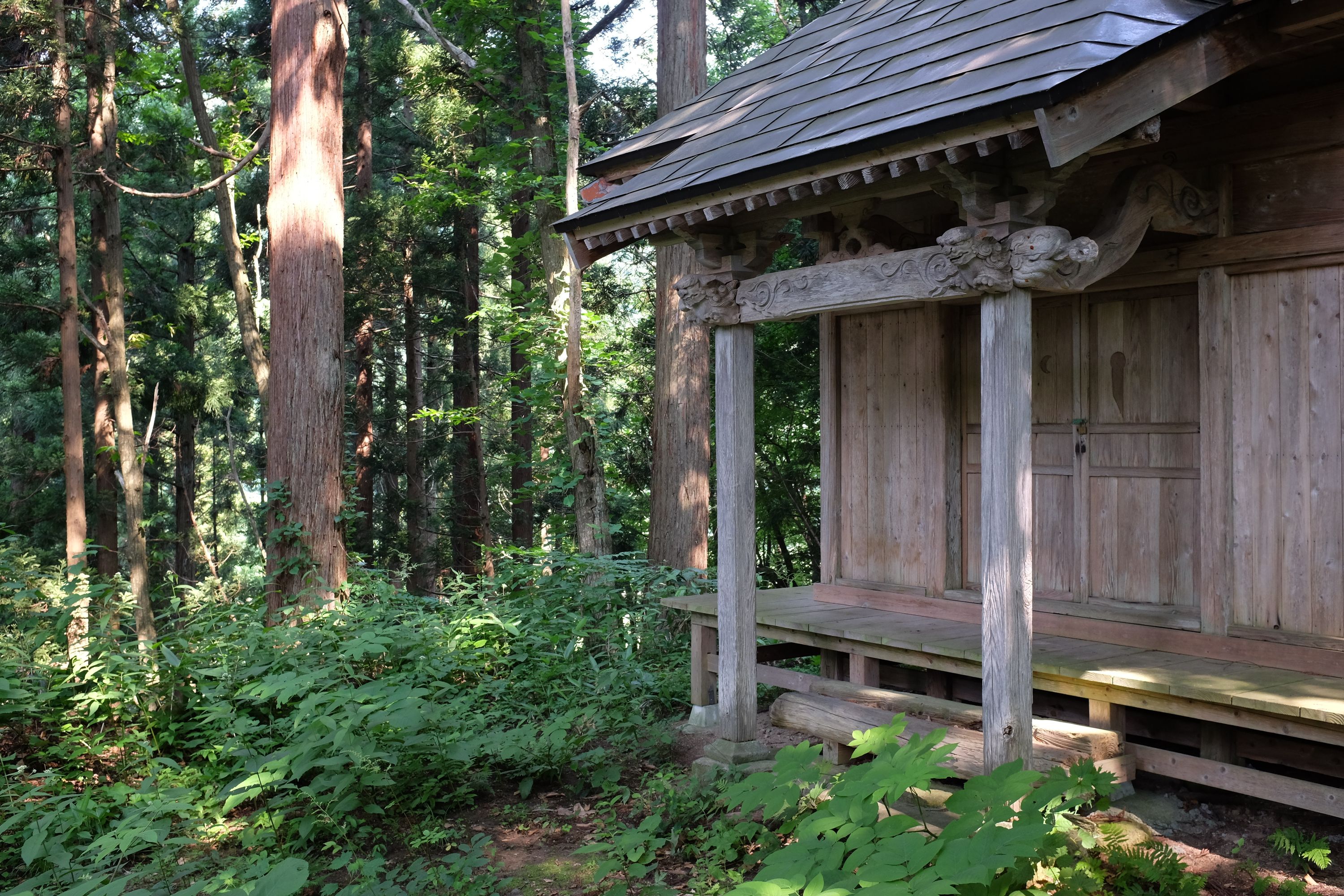 A small wooden shrine in a forest.