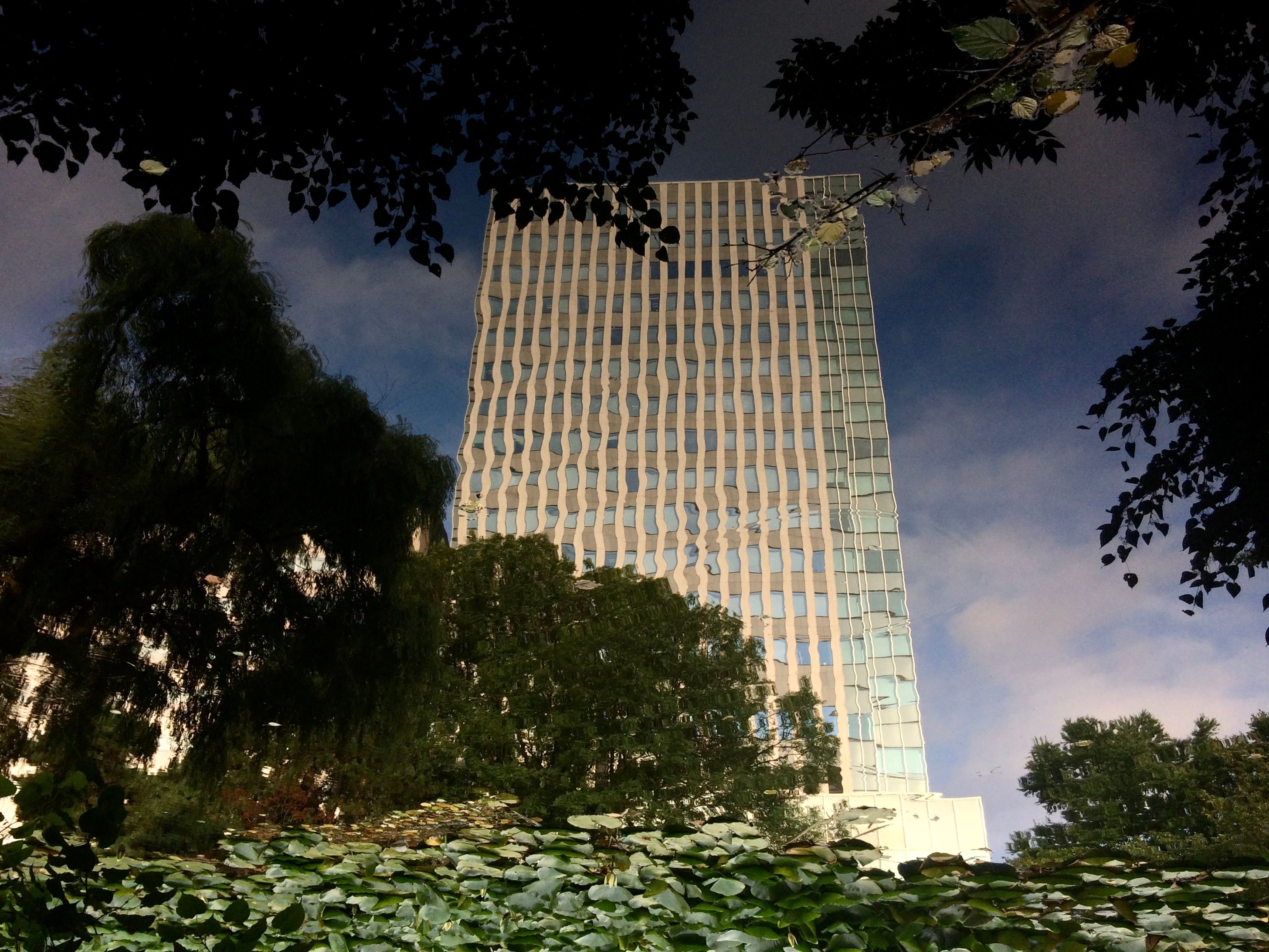 The reflection of an office building in a pond.