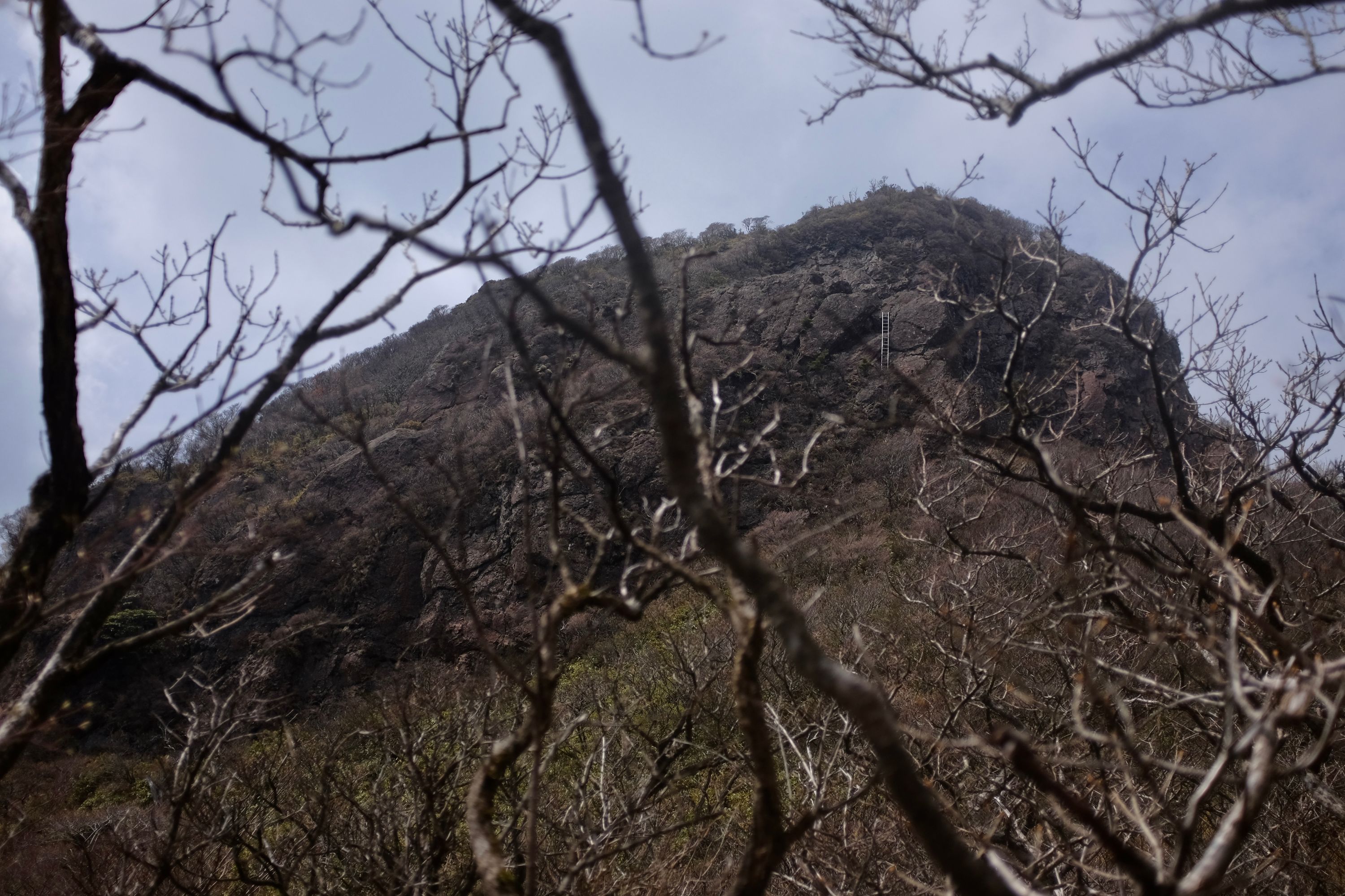 A steep rock wall visible through branches.