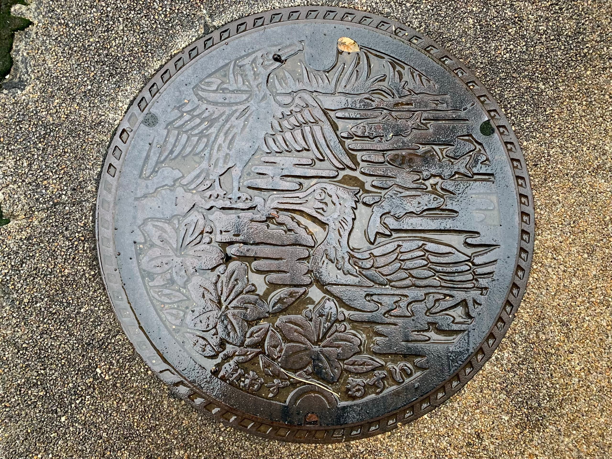 A manhole cover shows two of the fishing cormorants Ōzu is famous for.