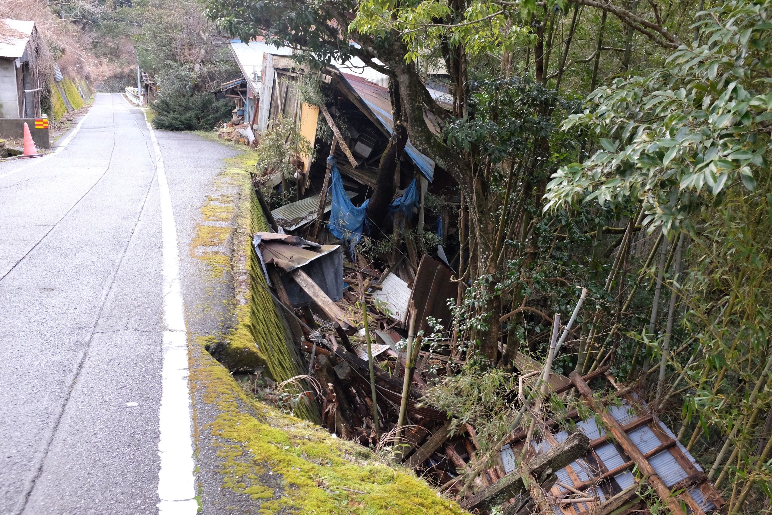 Houses collapsed into the forest by the side of a very narrow village road.