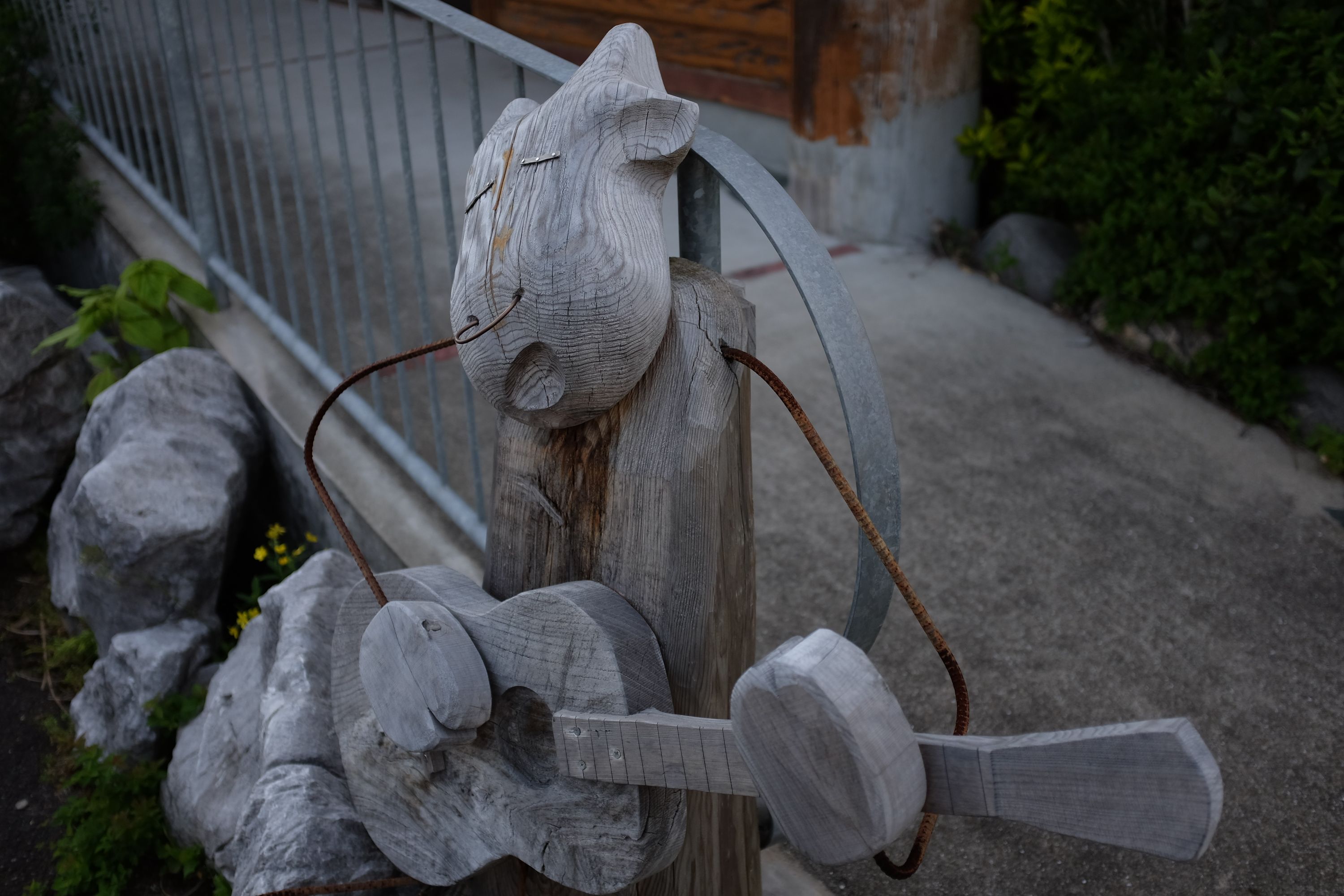 A wooden statue of a cow playing a guitar and singing along.