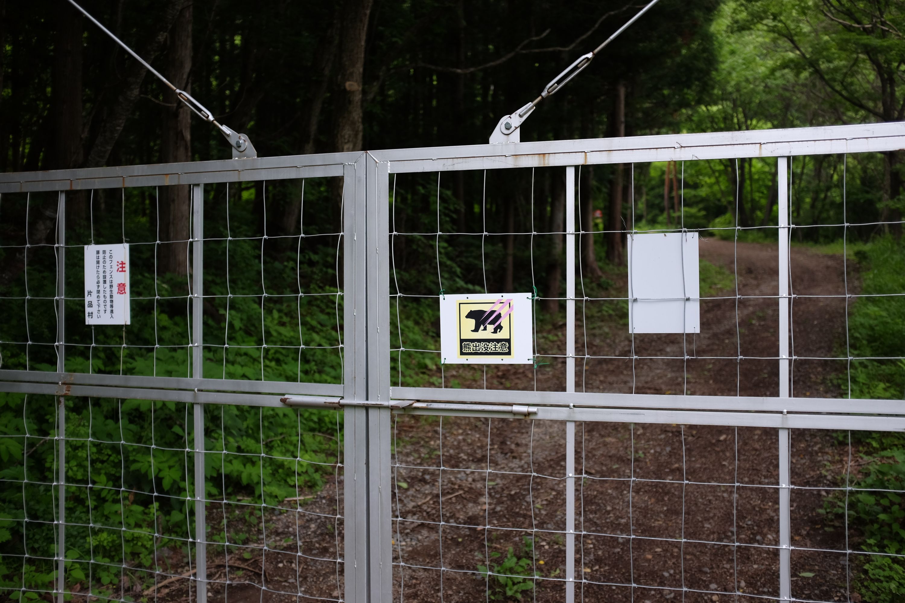 A metal gate shows a sign warning against bears.
